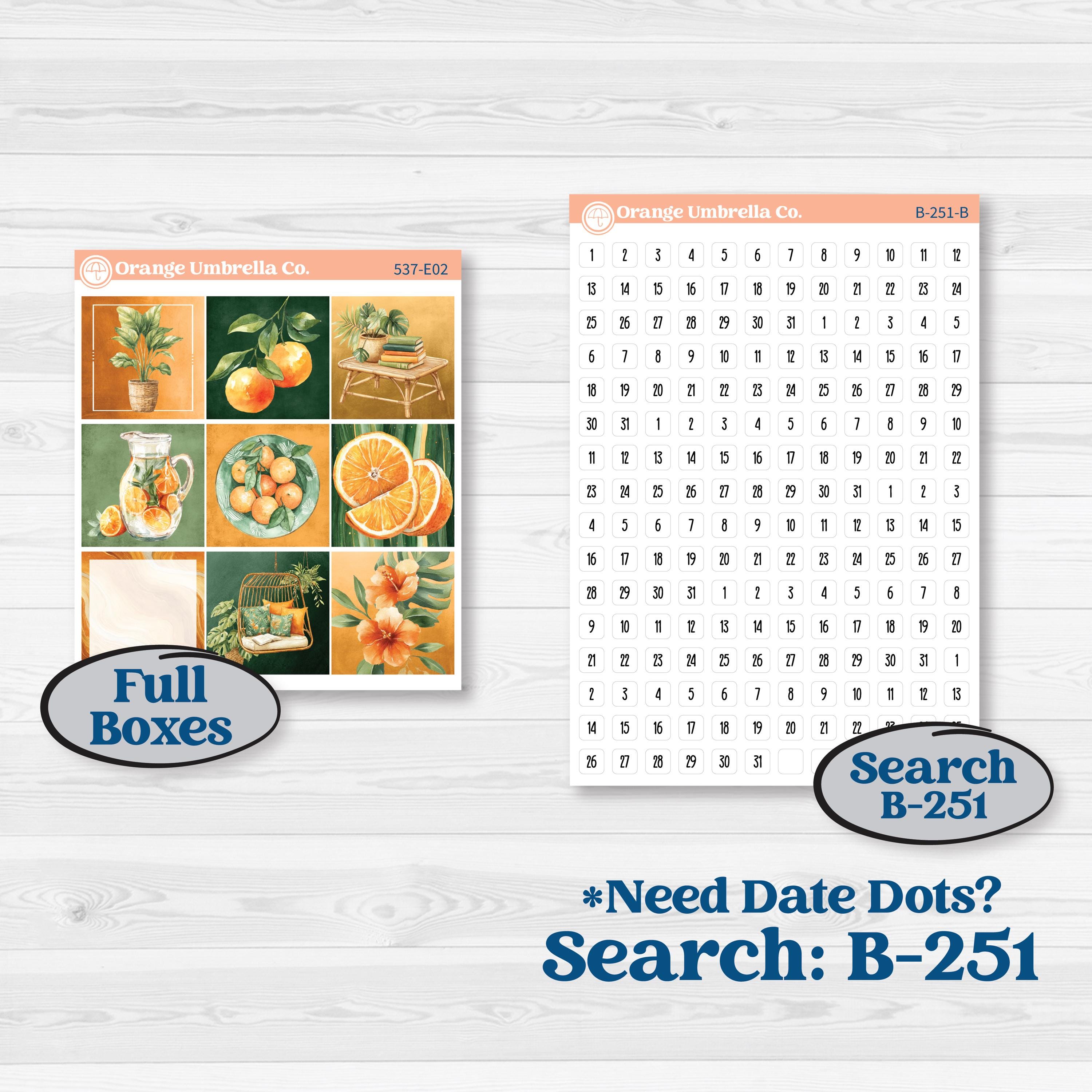 Orange Tropical Kit | Hobonichi Cousin Weekly & Daily Planner Kit Stickers | Valencia | KIT-537-E