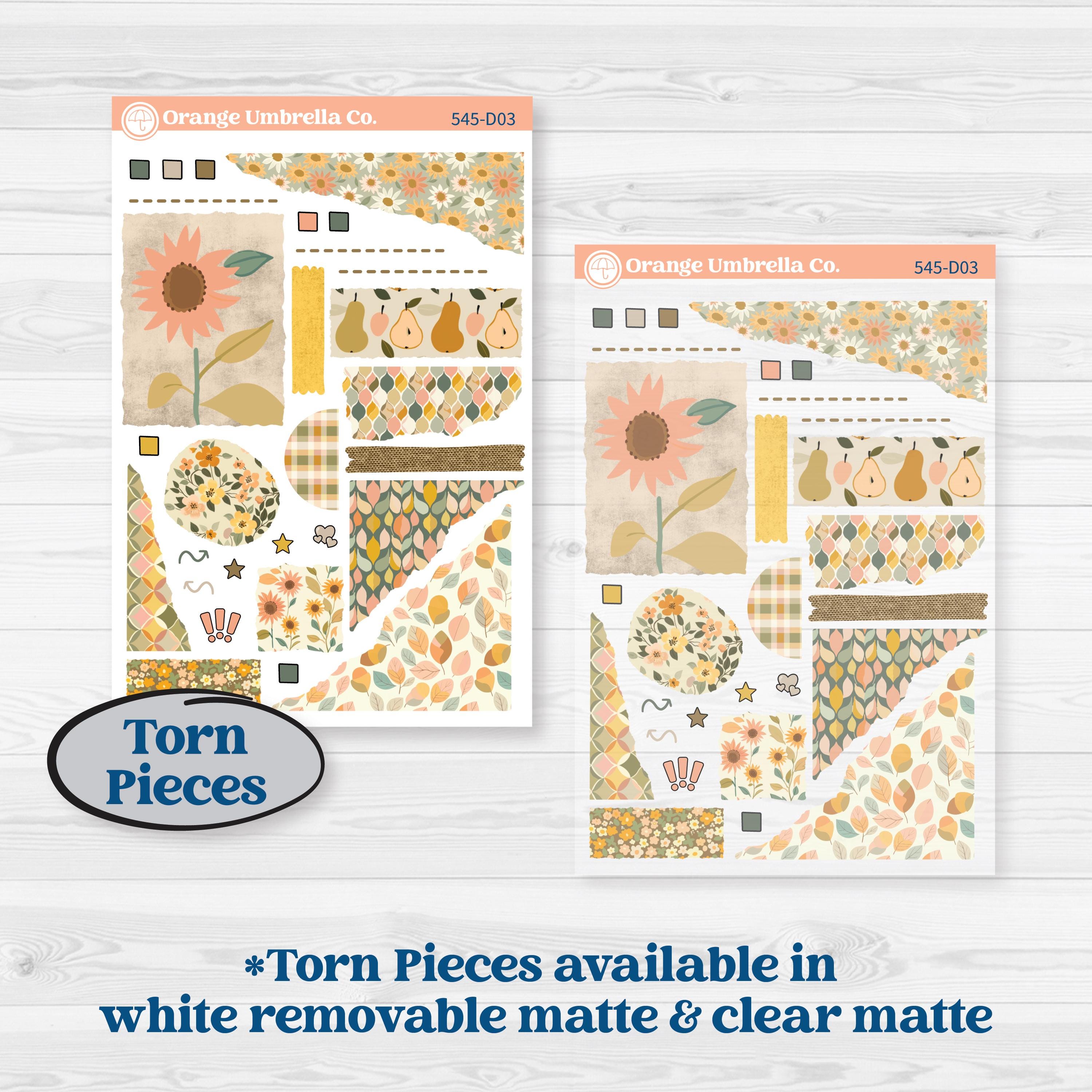 Pumpkin Patch Stickers | Journaling or Scrapbooking Kit | Creative Junk Journal Planner Stickers | Oh My Gourd | KIT-545-D
