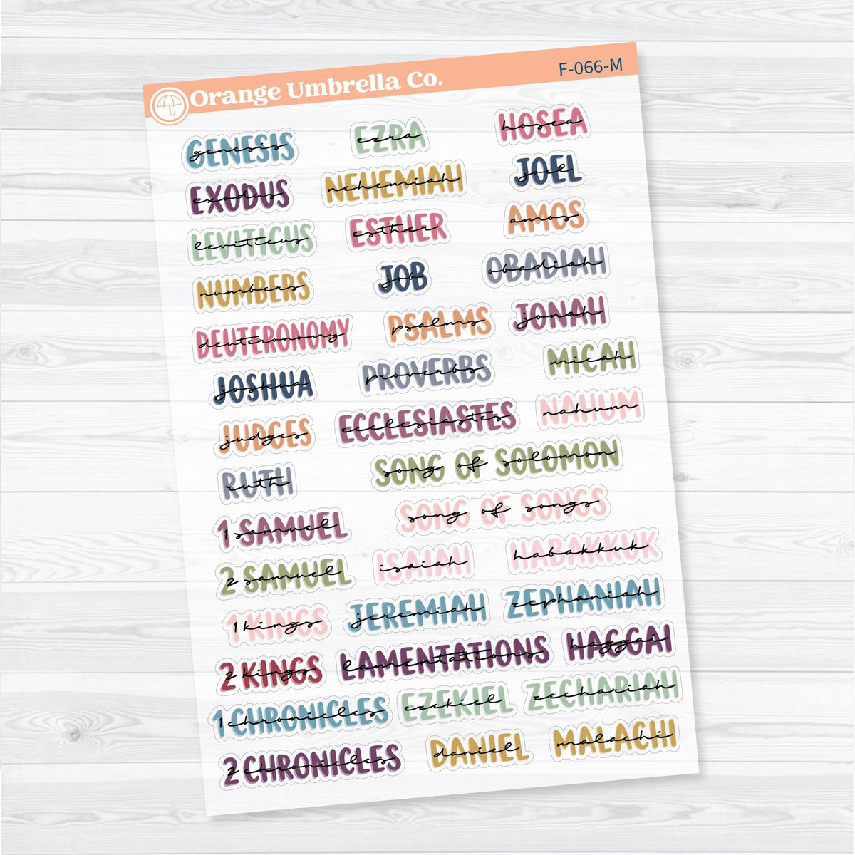Medium Books of the Bible | Clear Matte Faith & Bible Journaling Planner Stickers | F-066-067-MCM