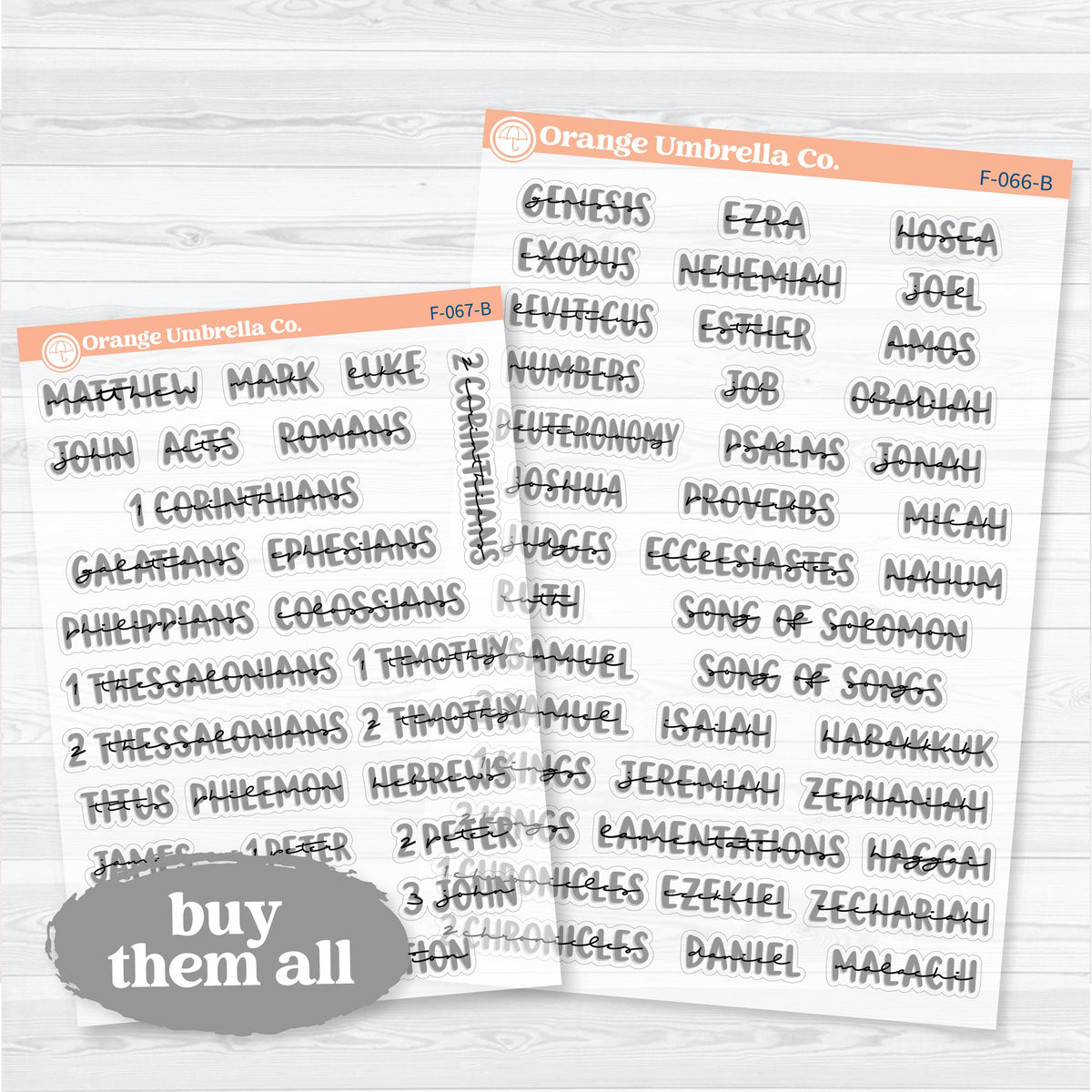 Medium Books of the Bible | Clear Matte Faith & Bible Journaling Planner Stickers | F-066-067-BCM