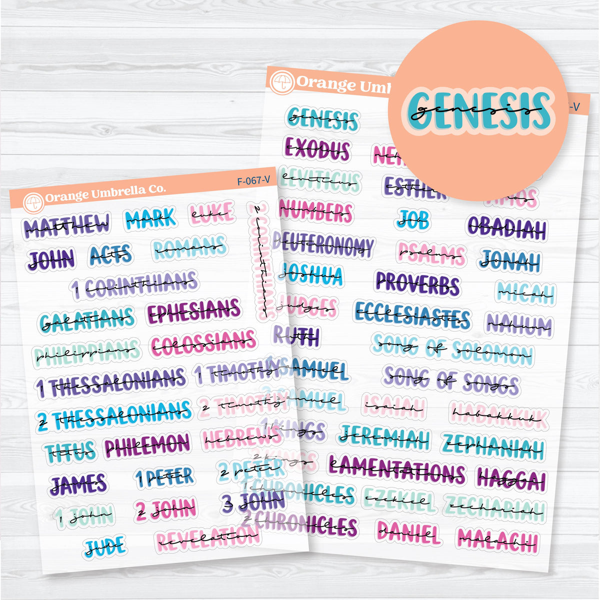 Clear matte layered Medium Books of the Bible planner stickers in multiple colorways with Old and New Testament sheets for Bible study.