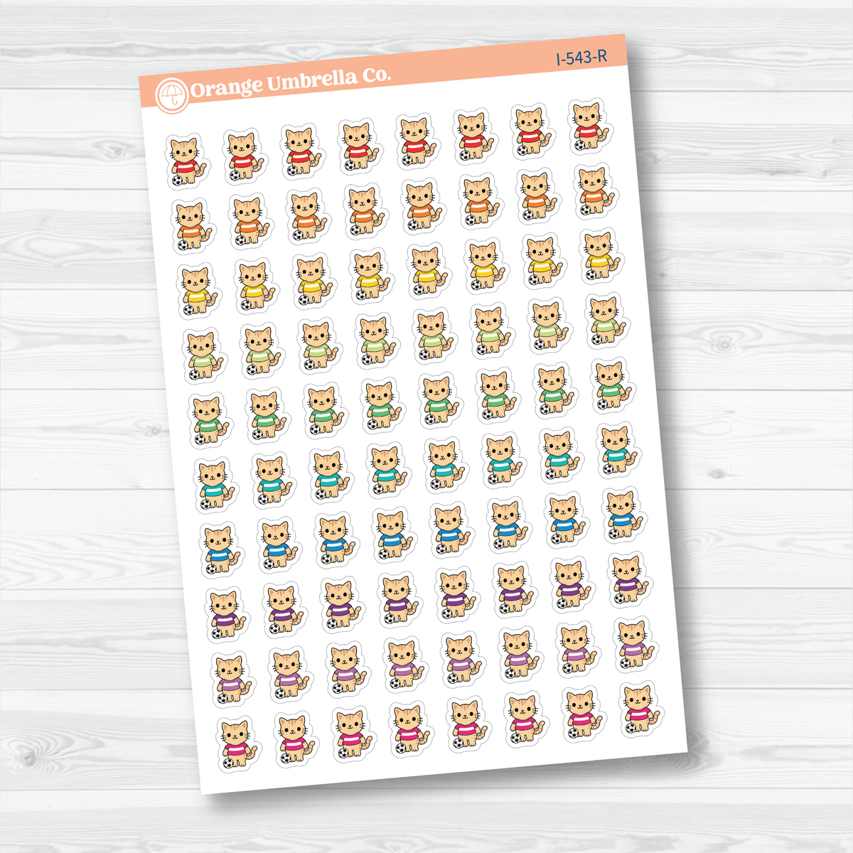 Rainbow mini soccer Spazz white matte stickers showing an orange cat beside a soccer ball for marking practices and games.