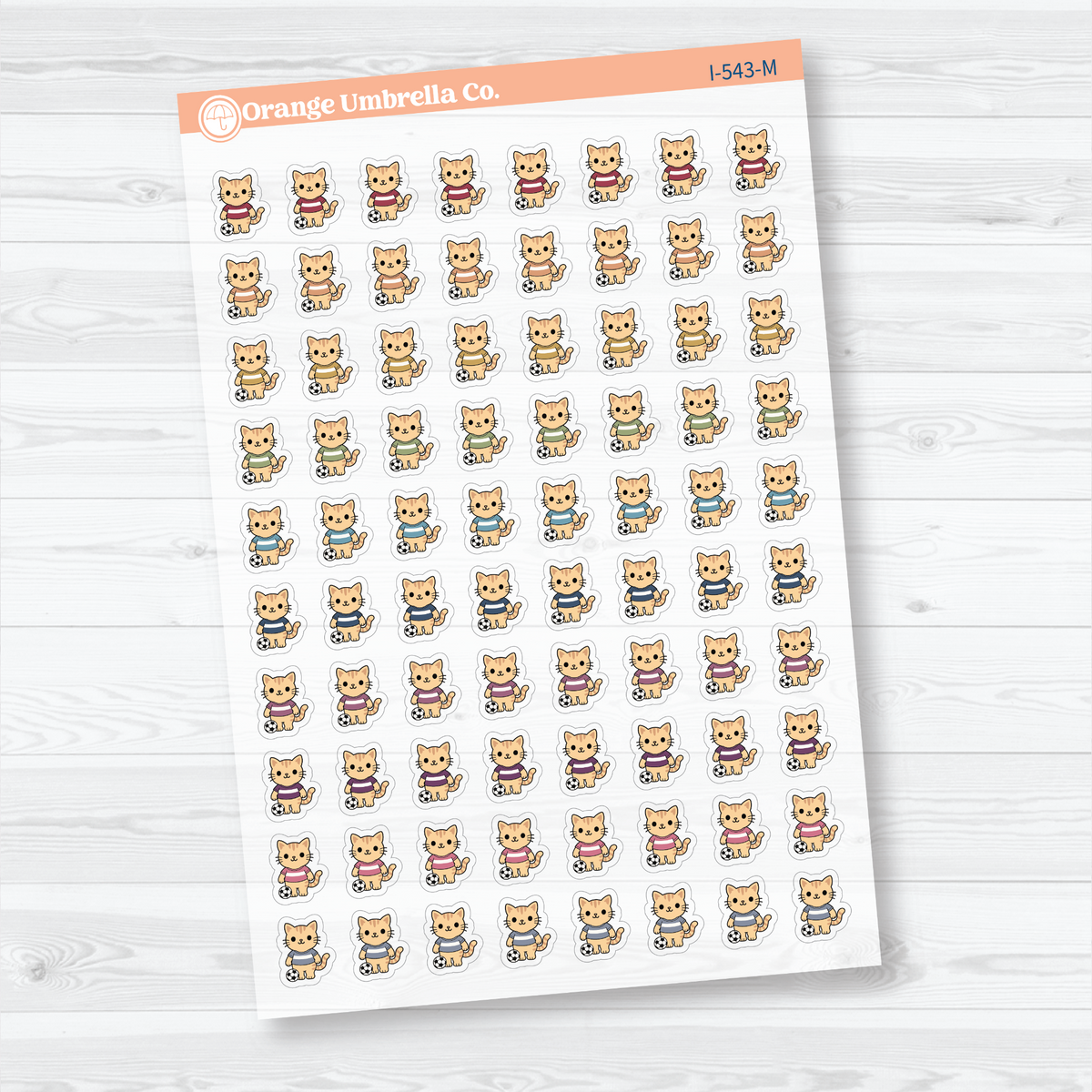 Muted Rainbow mini soccer Spazz clear matte stickers showing an orange cat beside a soccer ball for marking practices and games.