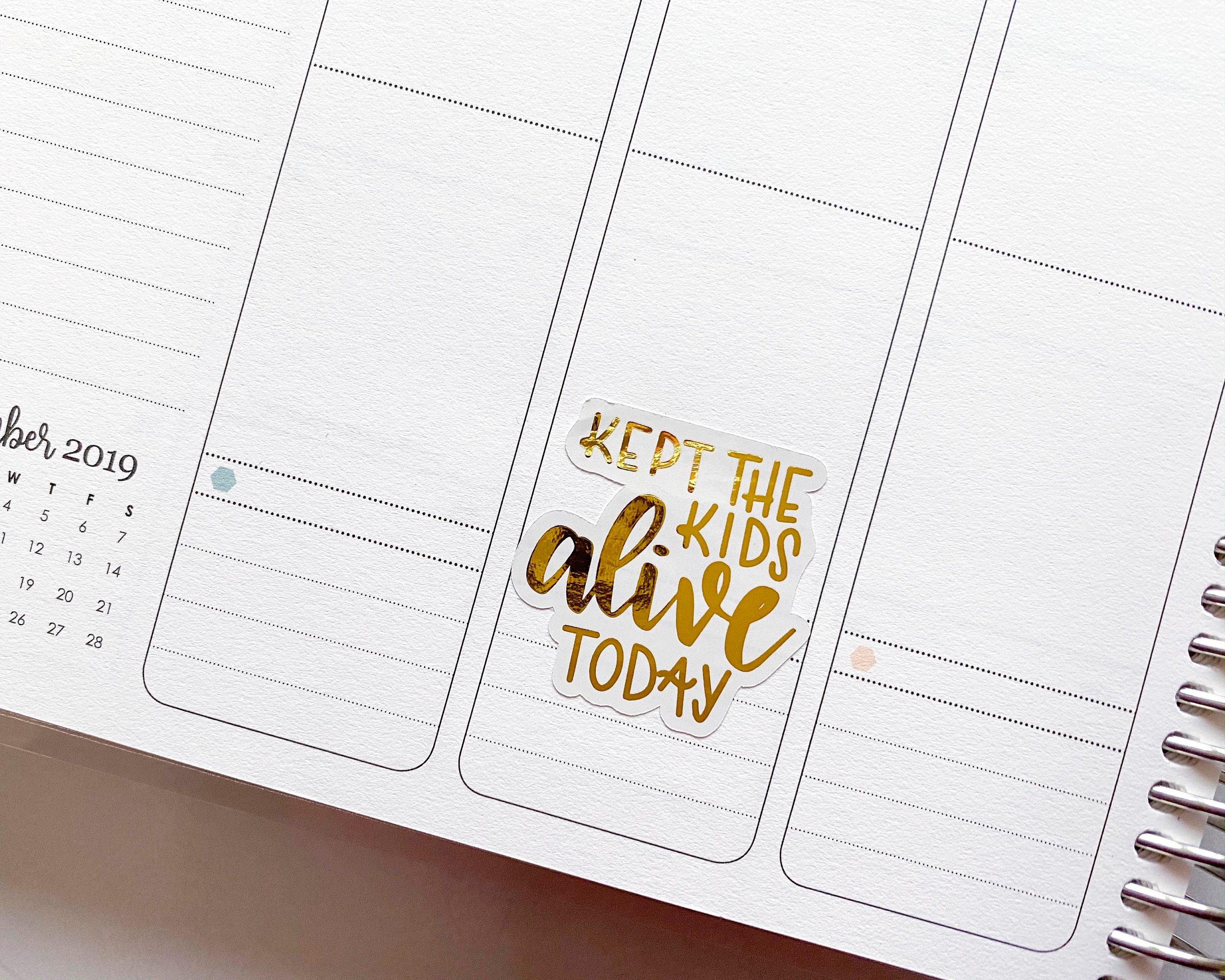Humorous Adulting Quote Mix Sheet Script Planner Stickers | F7 | D-023-F