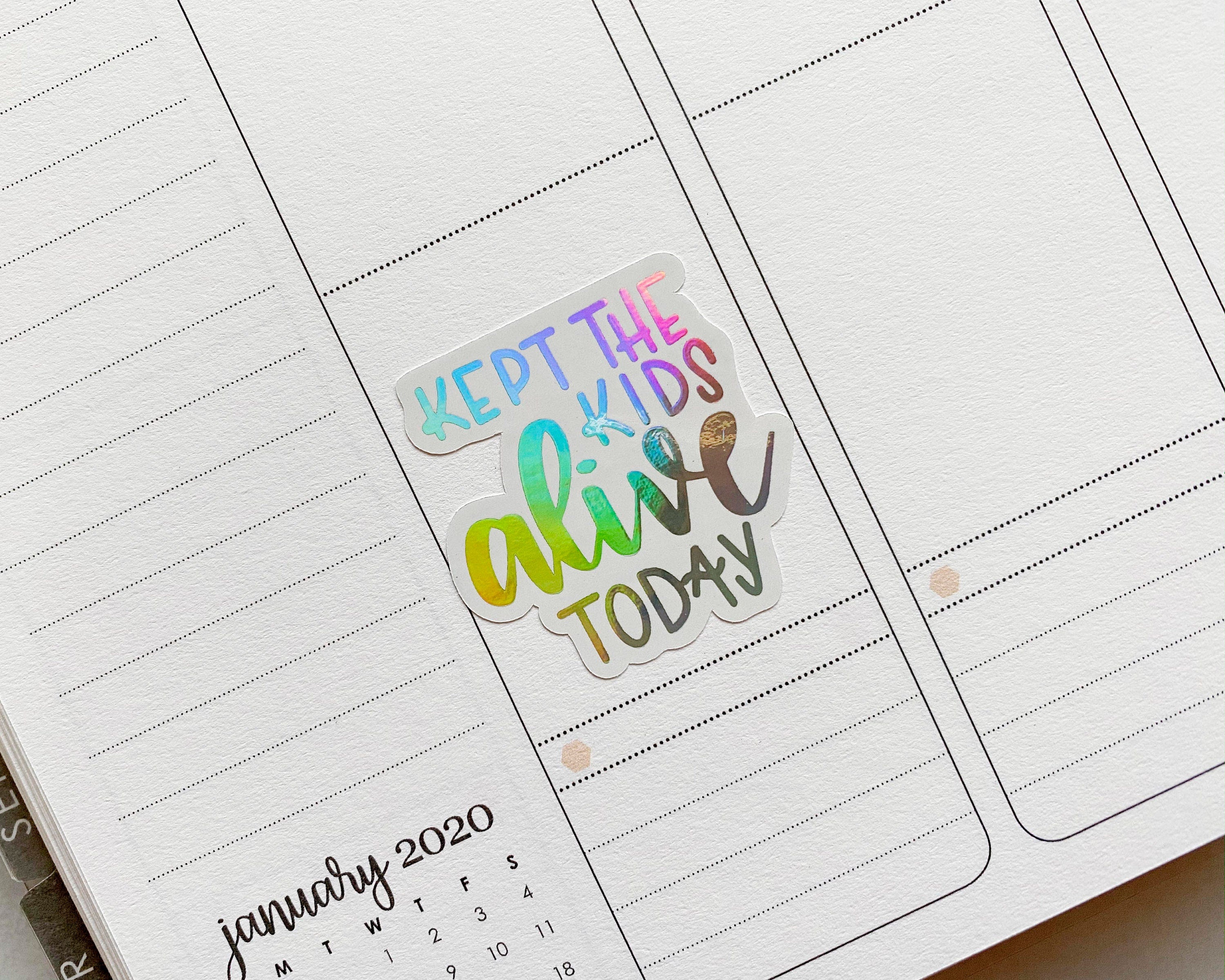 Humorous Adulting Quote Mix Sheet Script Planner Stickers | F7 | D-023-F-HO
