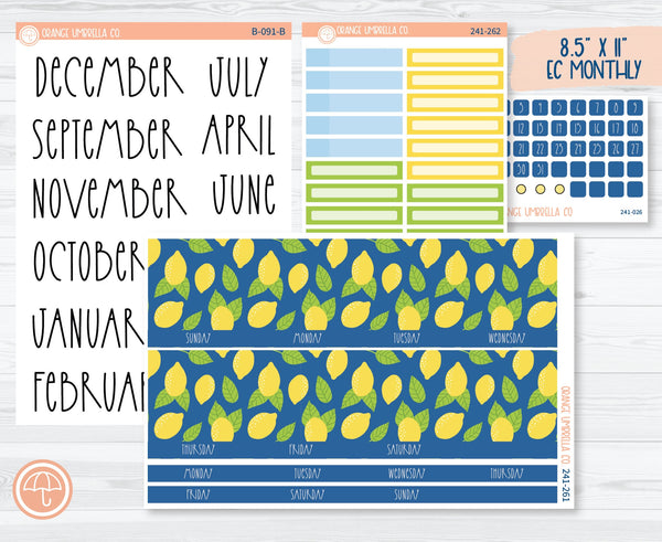 CLEARANCE | 8.5 ECLP Monthly Planner Kit Stickers | Lemon Squeezy 241-261