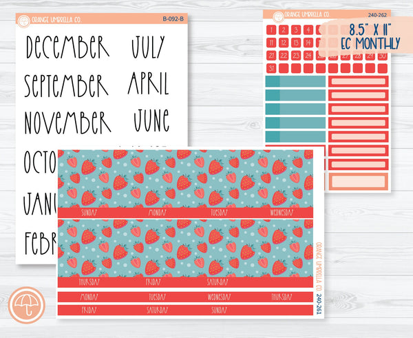 CLEARANCE | 8.5 ECLP Monthly Planner Kit Stickers | Sun-Ripened 240-261