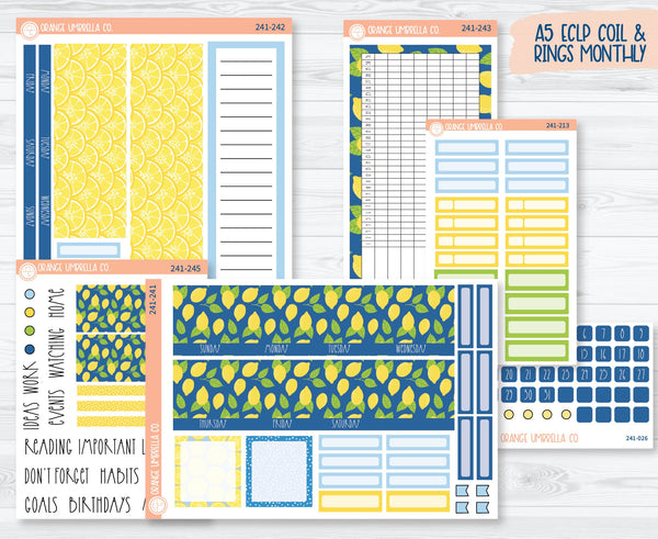 CLEARANCE | A5 EC Dashboard Monthly Planner Kit Stickers | Lemon Squeezy 241-241