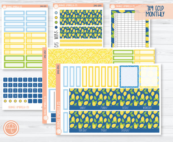CLEARANCE | 7x9 ECLP Monthly Planner Kit Stickers | Lemon Squeezy 241-251