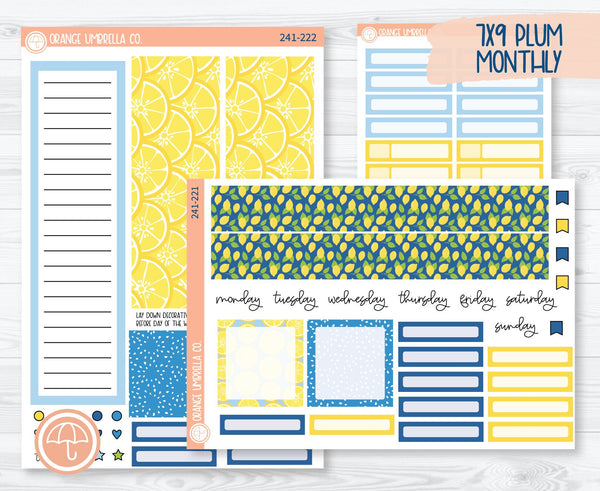CLEARANCE | 7x9 Plum Monthly Planner Kit Stickers | Lemon Squeezy 241-221