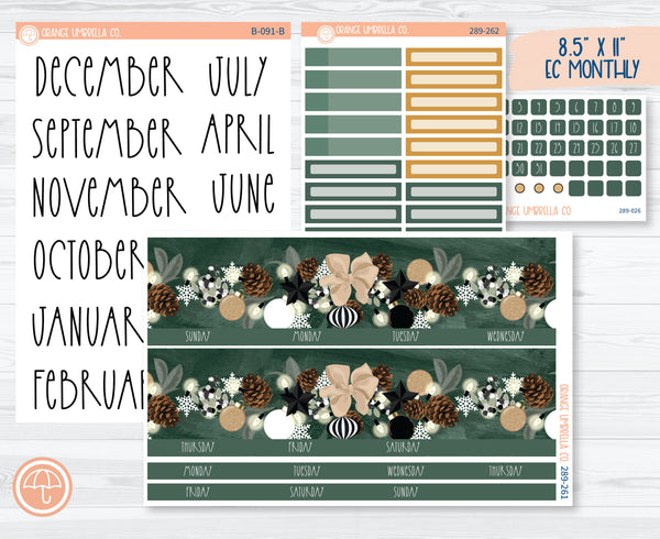 8.5 ECLP Monthly Planner Kit Stickers | Sparkle 289-261