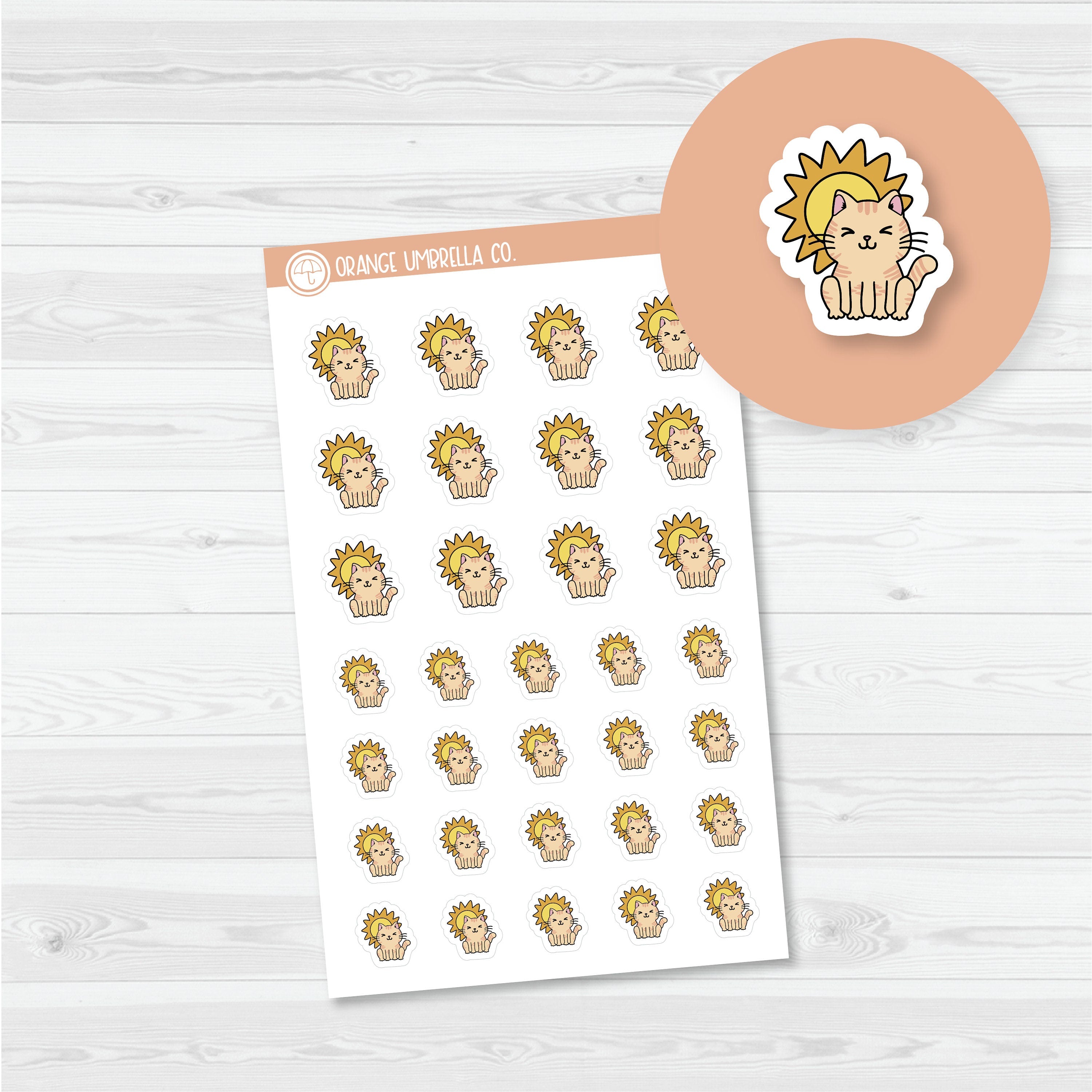 Spazz Weather Tracker Planner Stickers | I-411-417