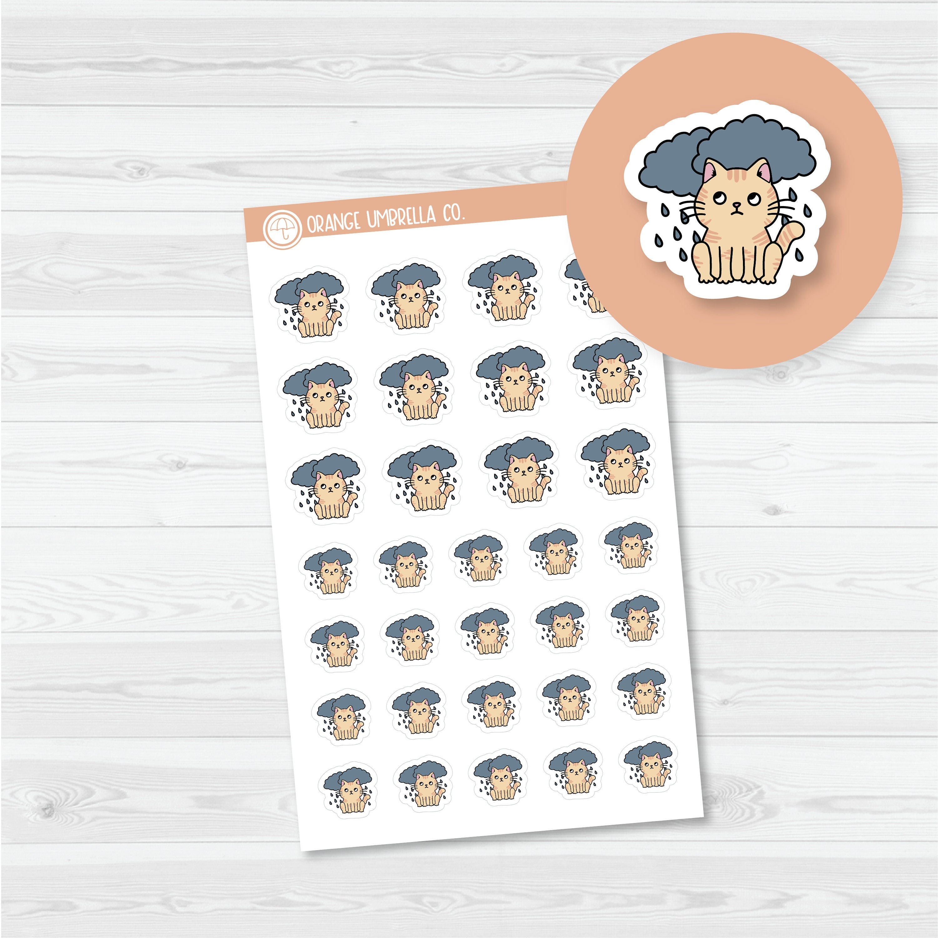 Spazz Weather Tracker Planner Stickers | I-411-417