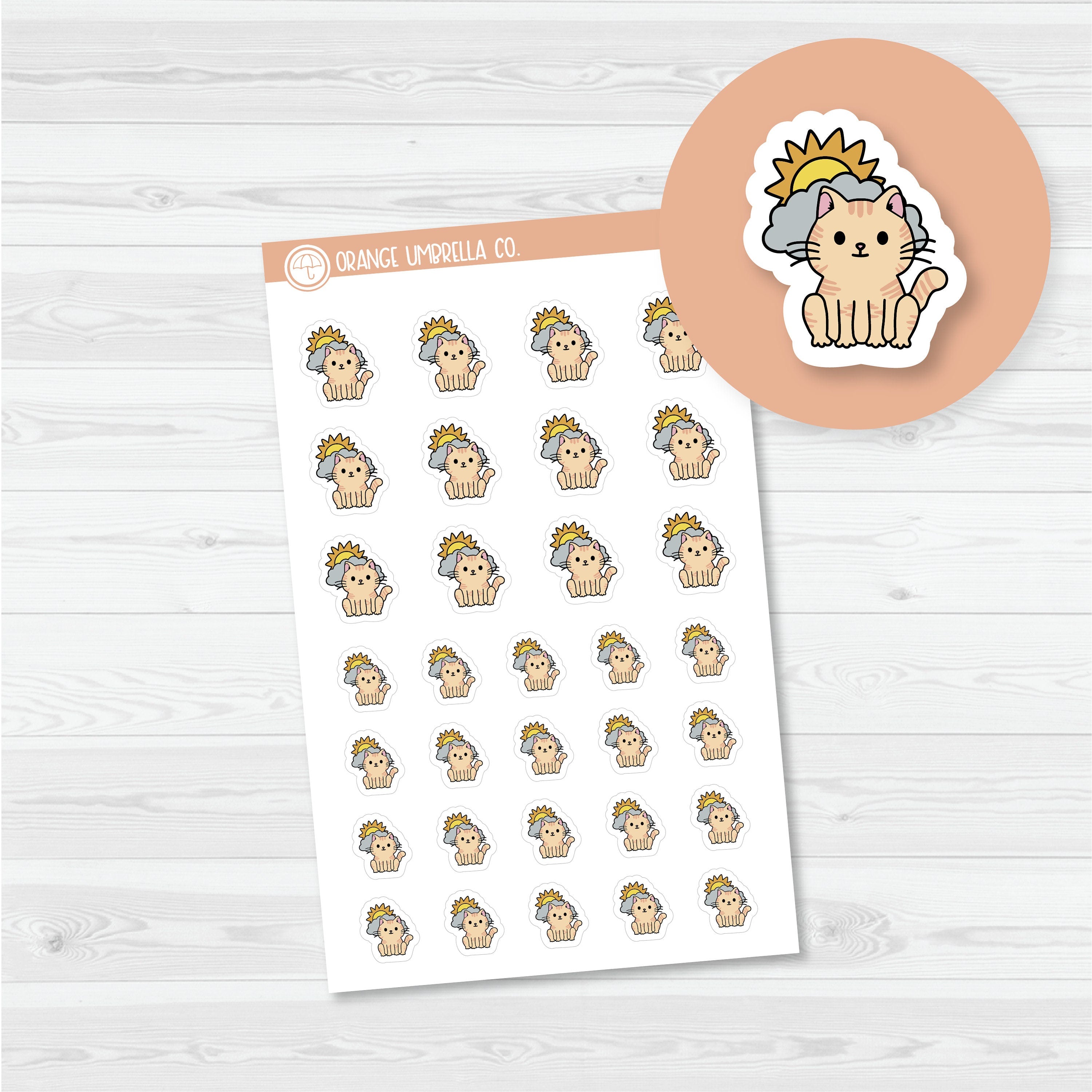 Spazz Weather Tracker Planner Stickers | I-411-417