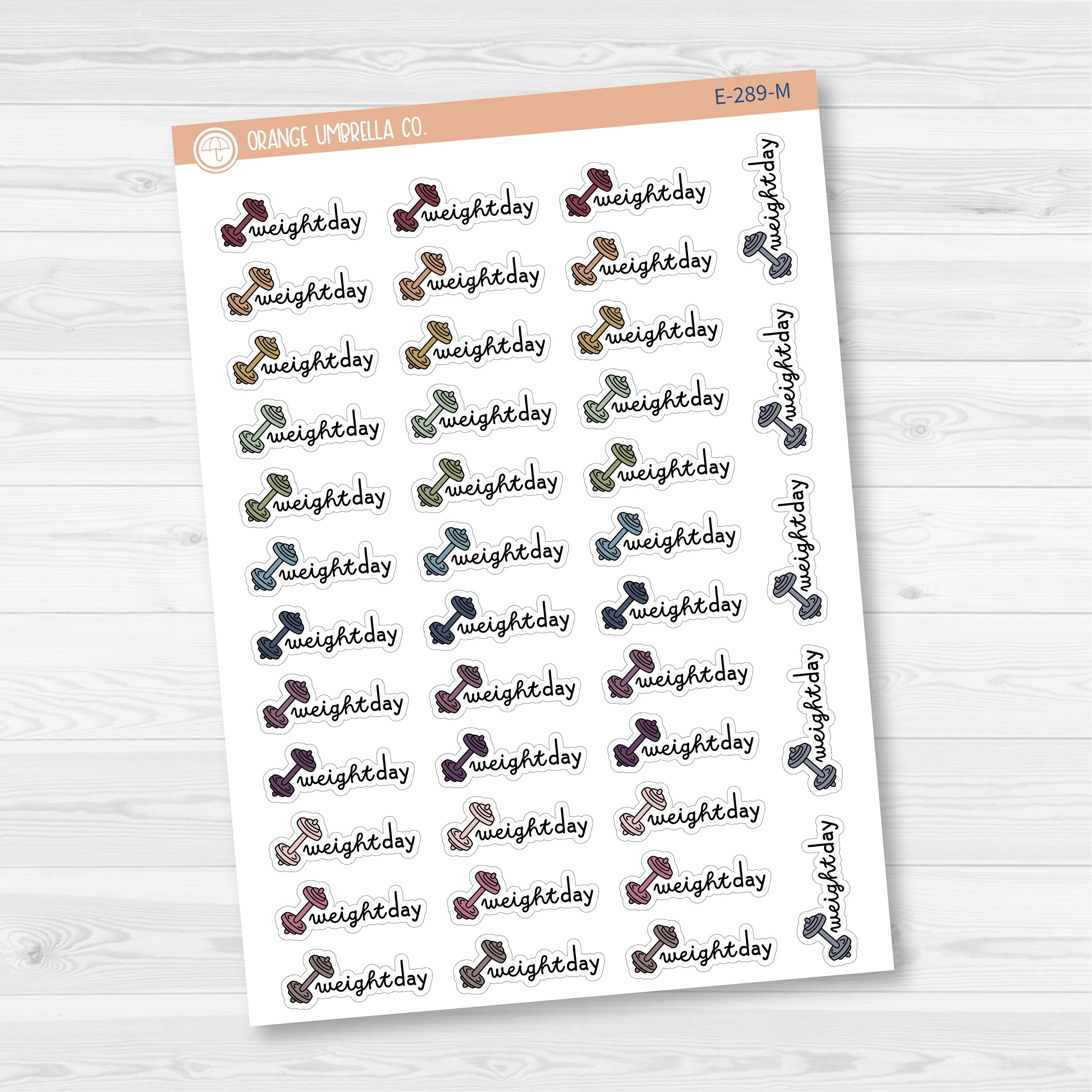 3/12-Weight Day Planner Stickers | F16 | E-289