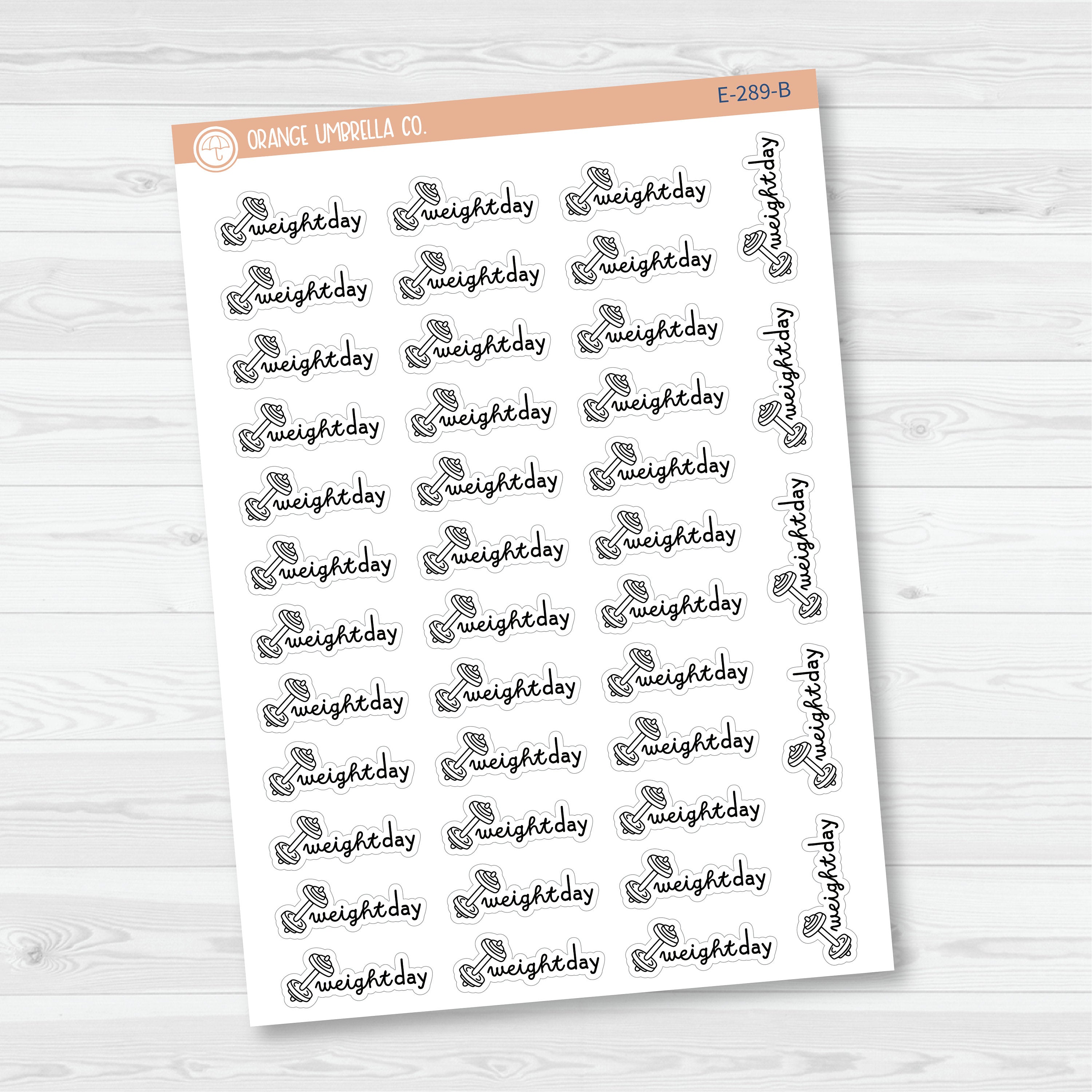 3/12-Weight Day Planner Stickers | F16 | E-289