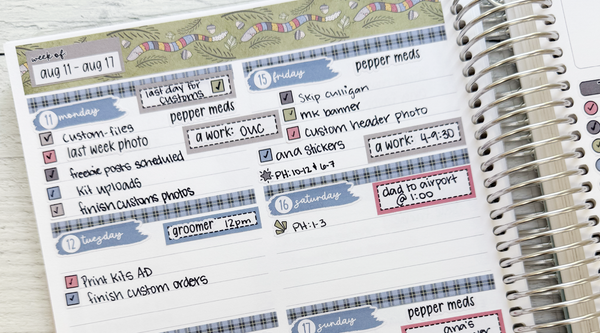Last Week in My Planner: KIT-406 "Lumberjack"