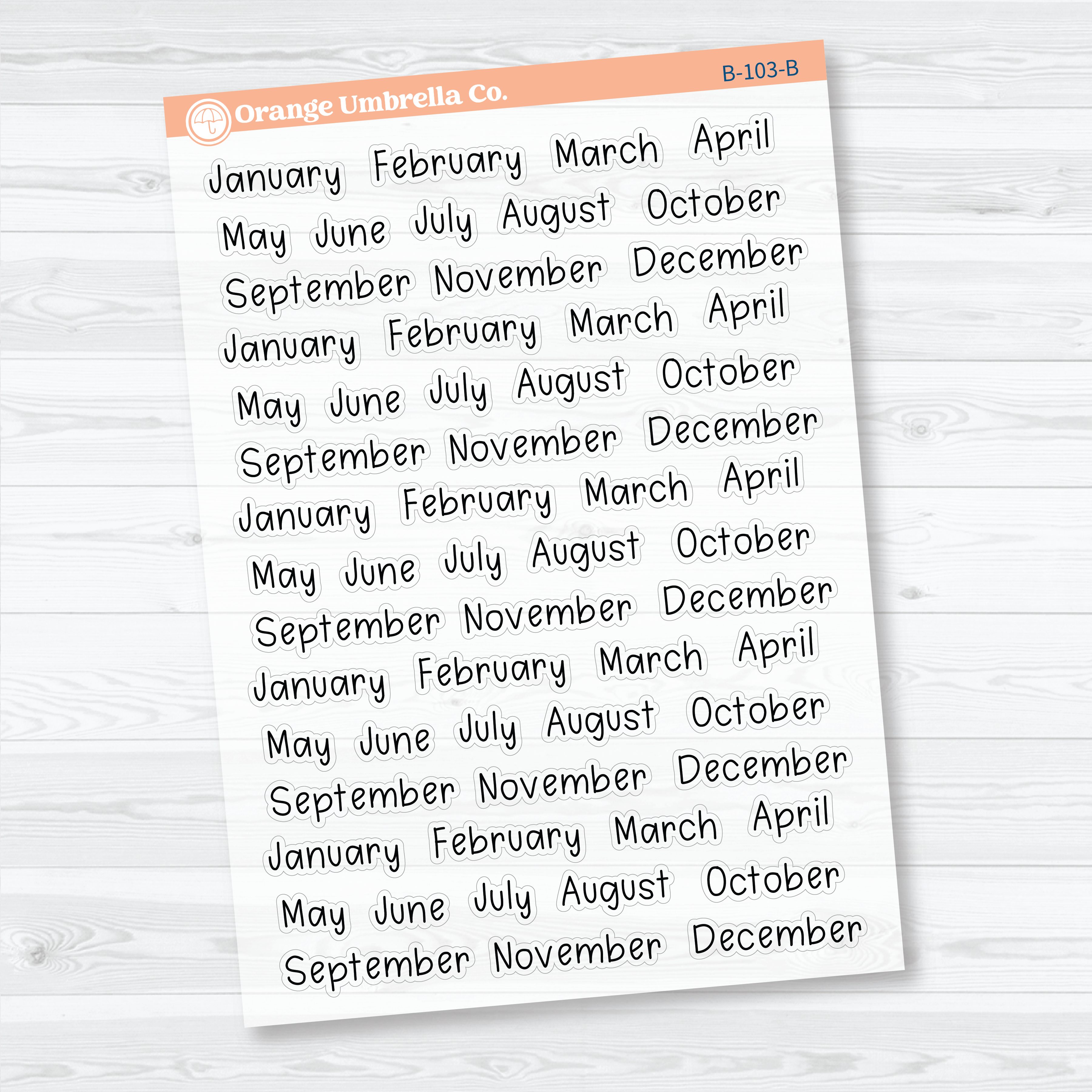 Months Clear Matte Planner Stickers | Tiny Julie’s Plans Month Stickers | B-103-CM