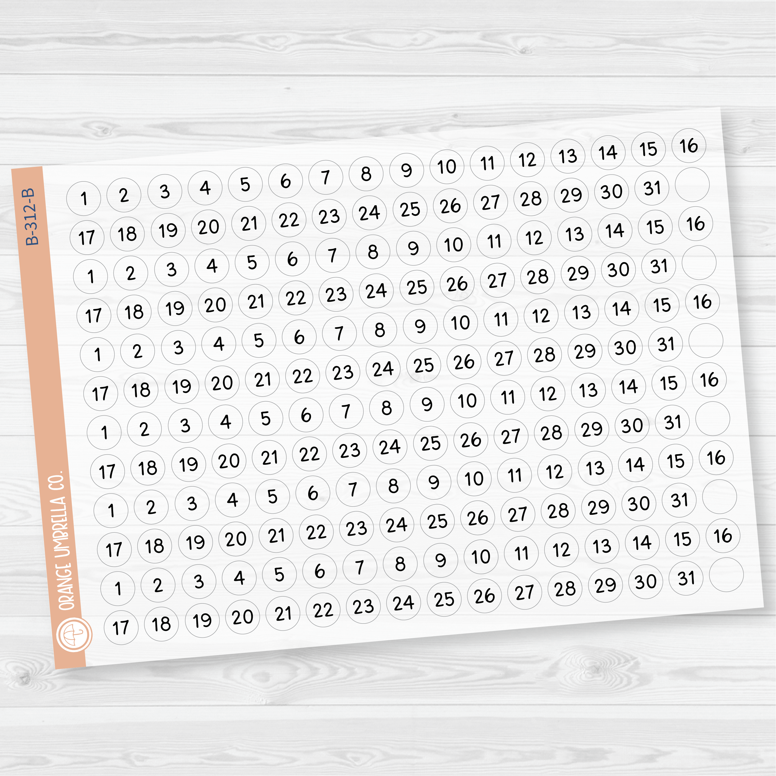 CLEARANCE | 6 Months of Date Dot Covers Planner Stickers | F16 Script | B-311-312