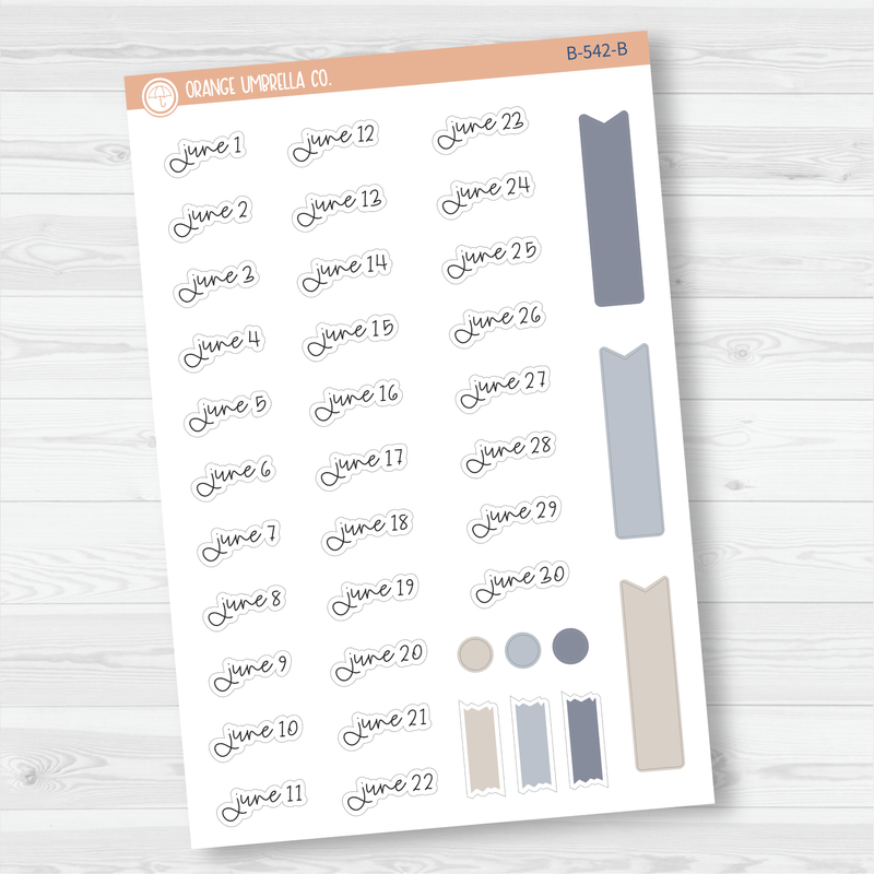 Monthly Dates of the Month Planner Stickers | FC12 Script | B-537-B-548