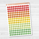Date Dots - 5 Months Planner Stickers | Circle FC12 Print | B-582