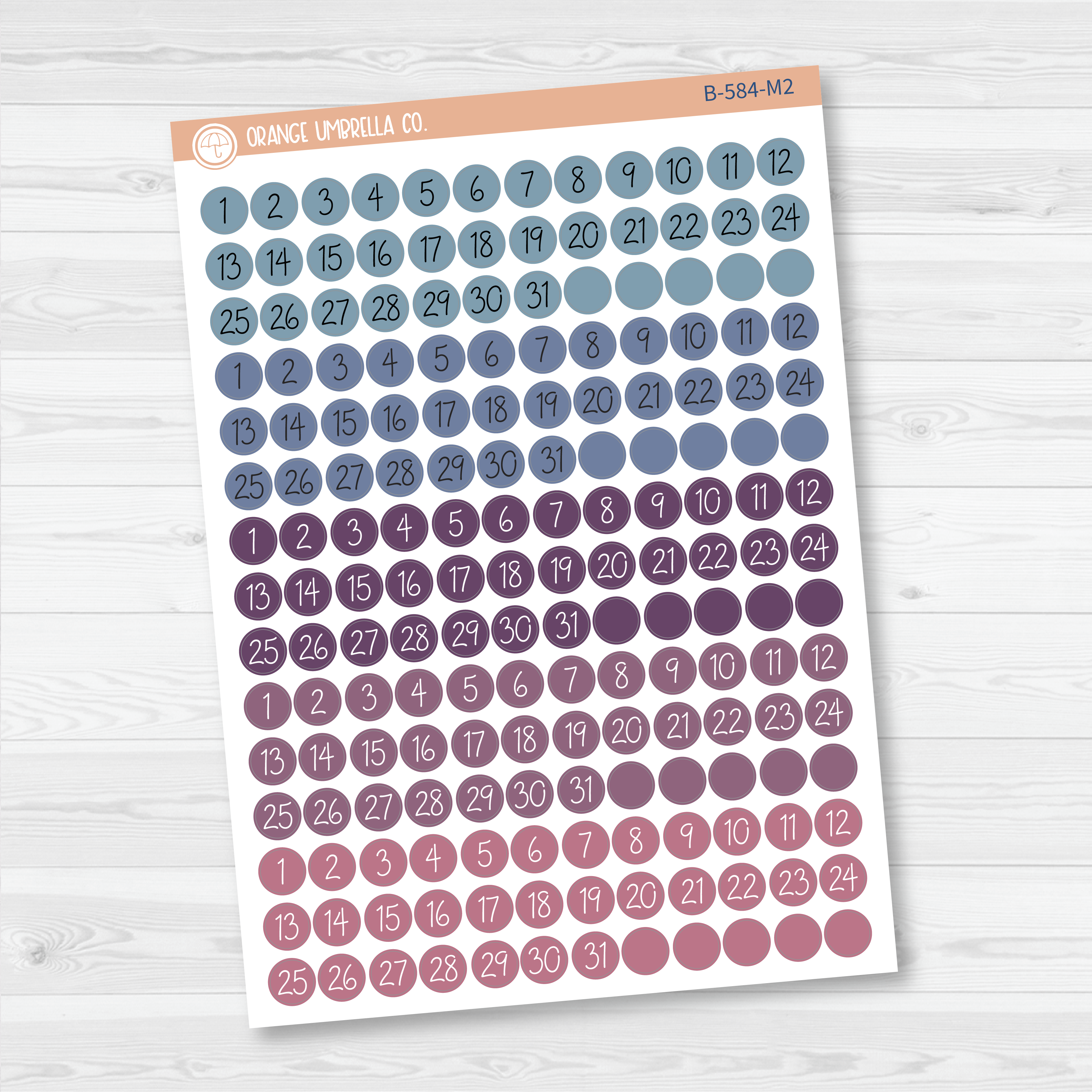 CLEARANCE | Date Dots - 5 Months Planner Stickers | Circle FC12 Script | B-584