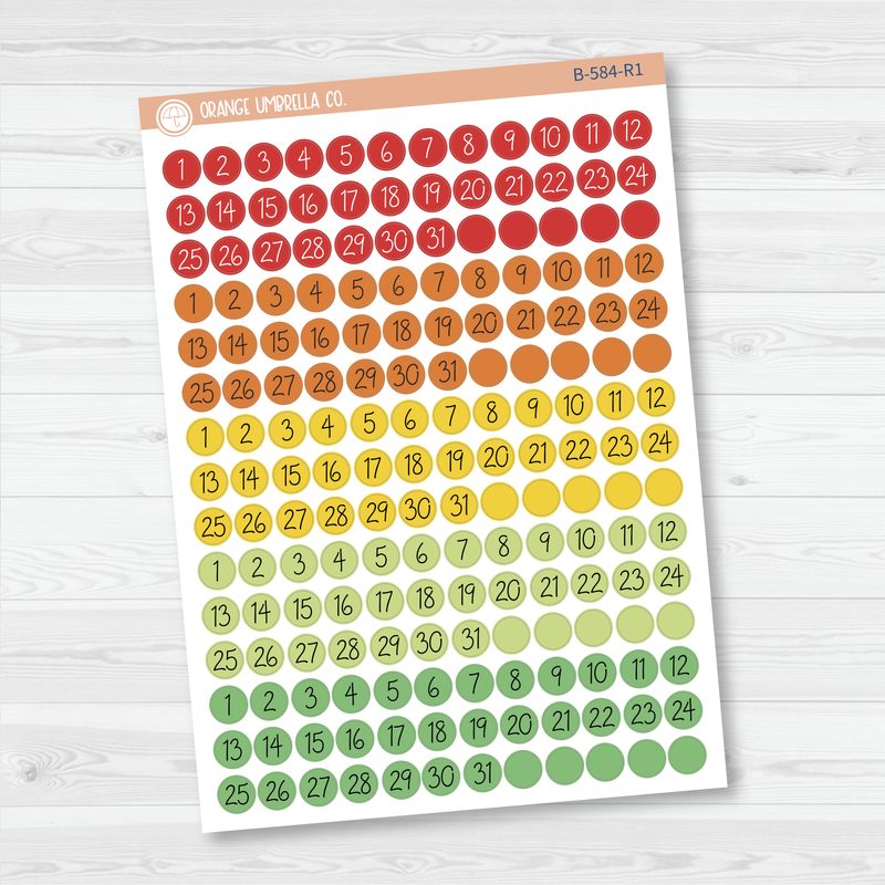 Date Dots - 5 Months Planner Stickers | Circle FC12 Script | B-584