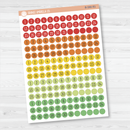 Date Dots - 5 Months Planner Stickers | Circle F16 Print | B-590