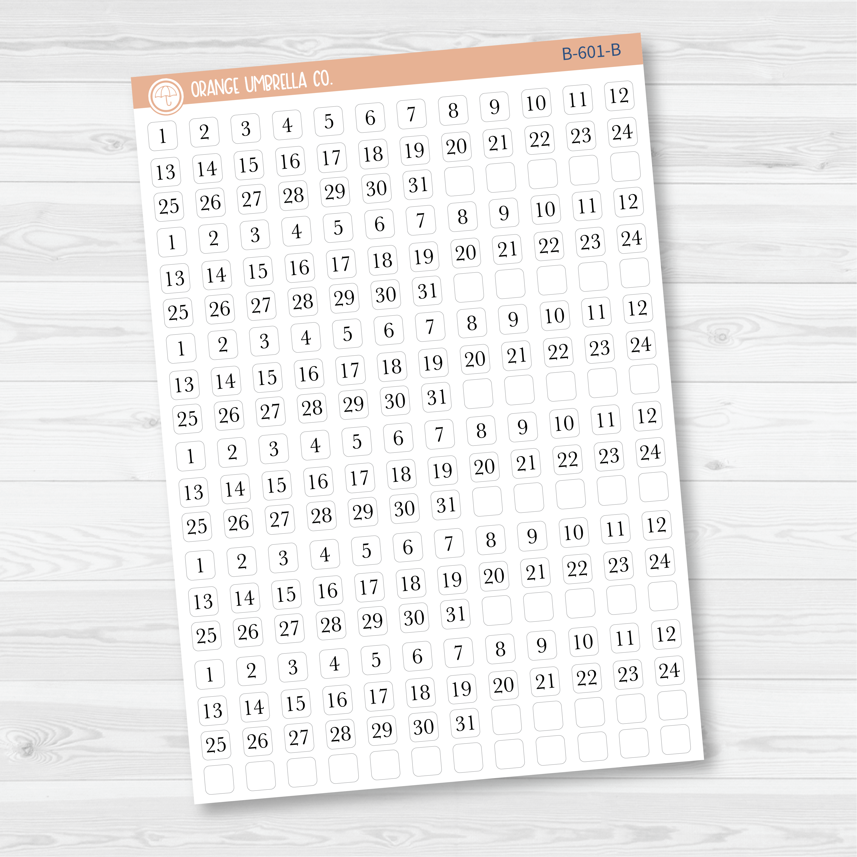 6 Months of Mini Date Dot Covers Planner Stickers | B-601-B-602