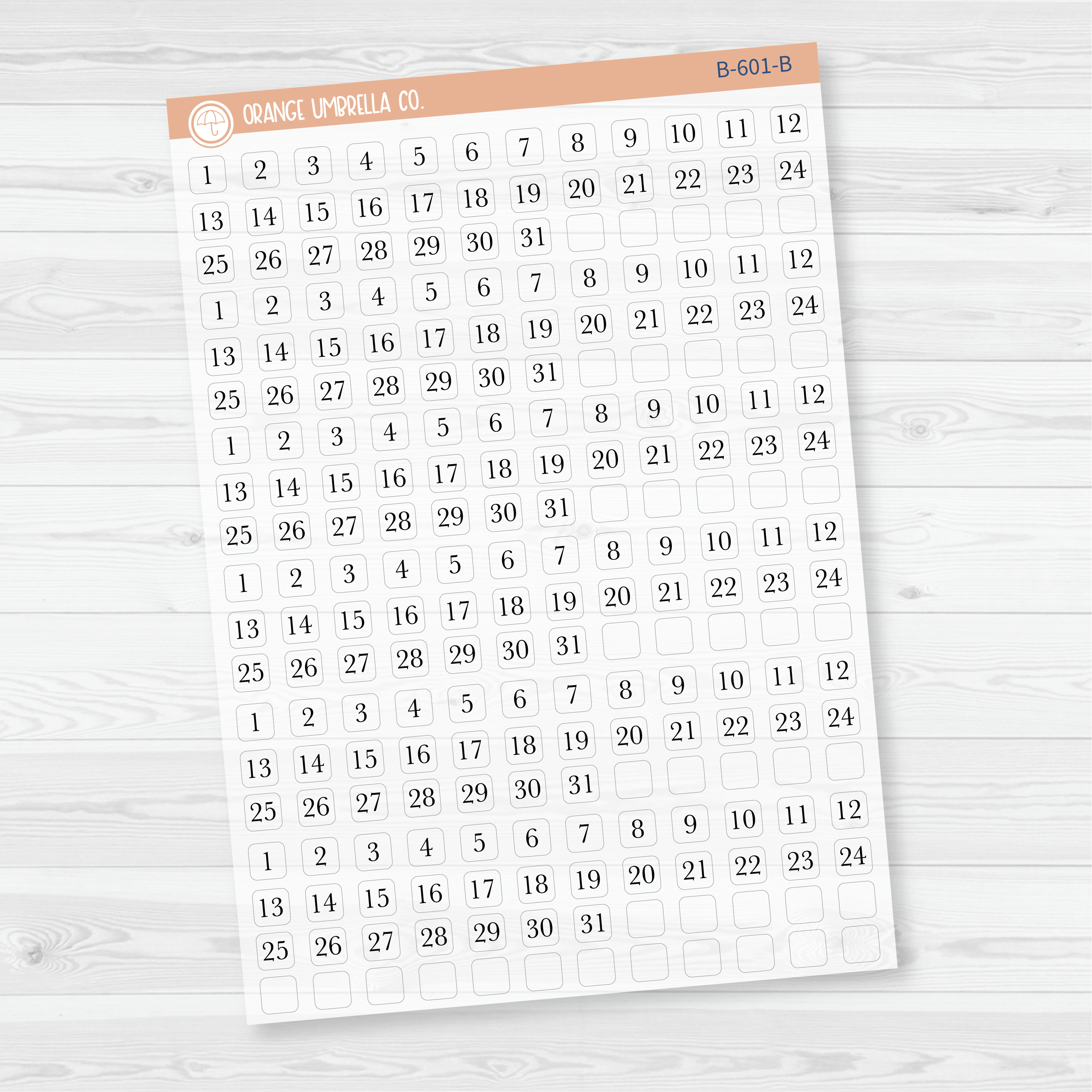 6 Months of Mini Date Dot Covers Planner Stickers | B-601-B-602
