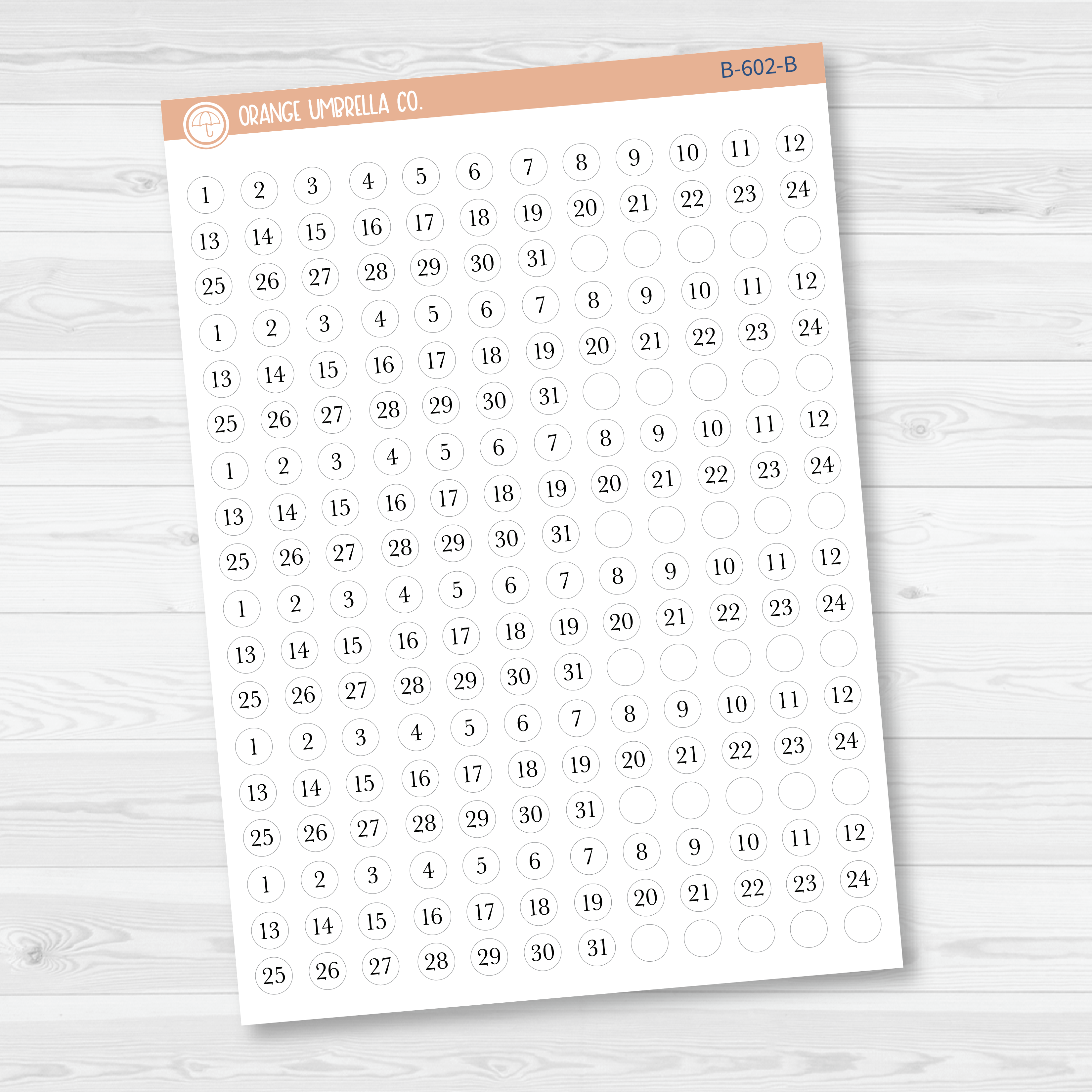 6 Months of Mini Date Dot Covers Planner Stickers | B-601-B-602