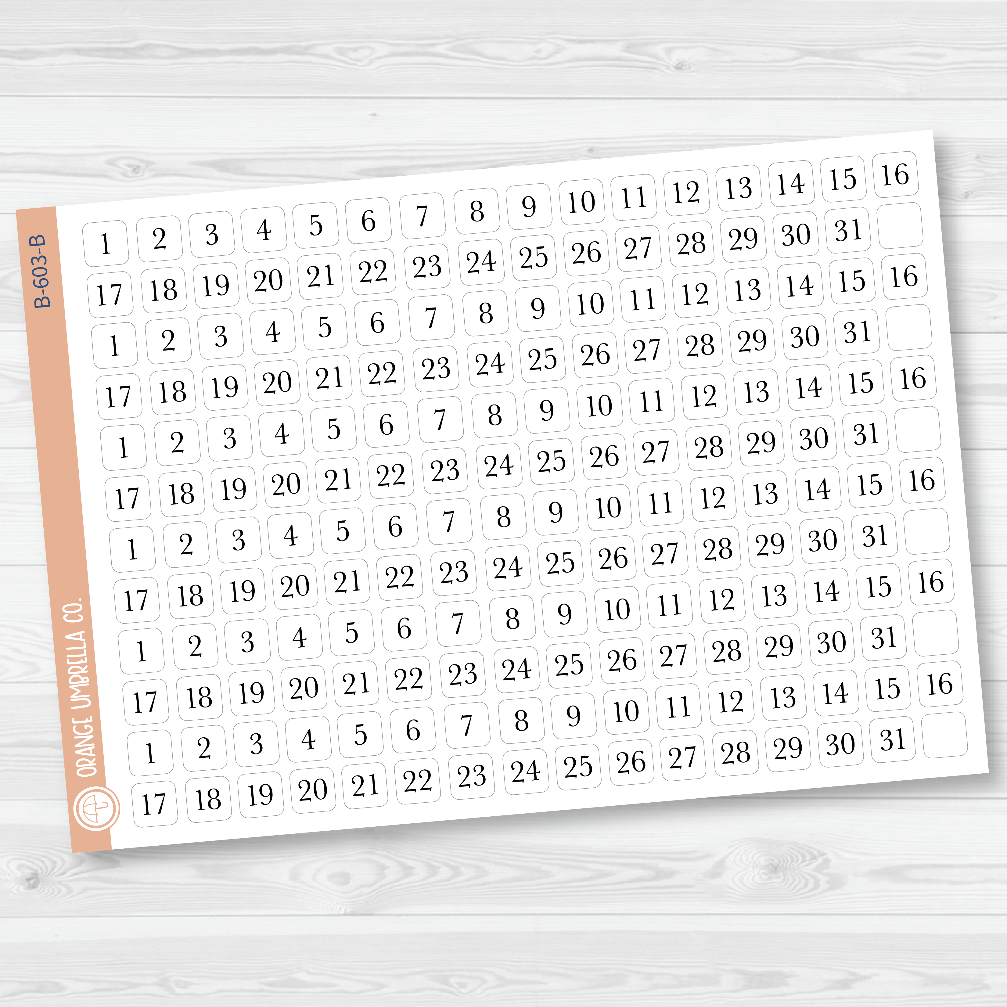 6 Months of Date Dot Covers Planner Stickers | B-603-B-604