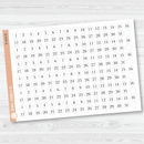 6 Months of Date Dot Covers Planner Stickers | B-603-B-604