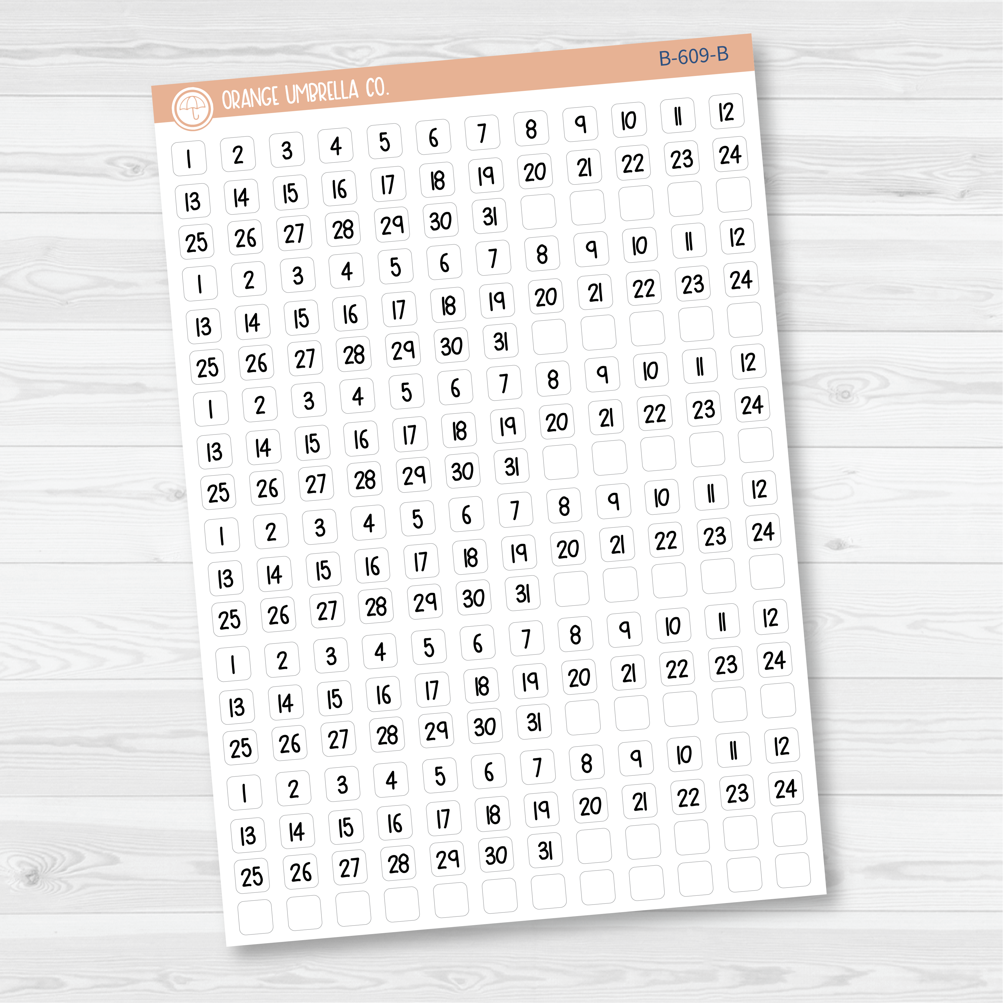 6 Months of Mini Date Dot Covers Planner Stickers | FSP | B-609-B-610