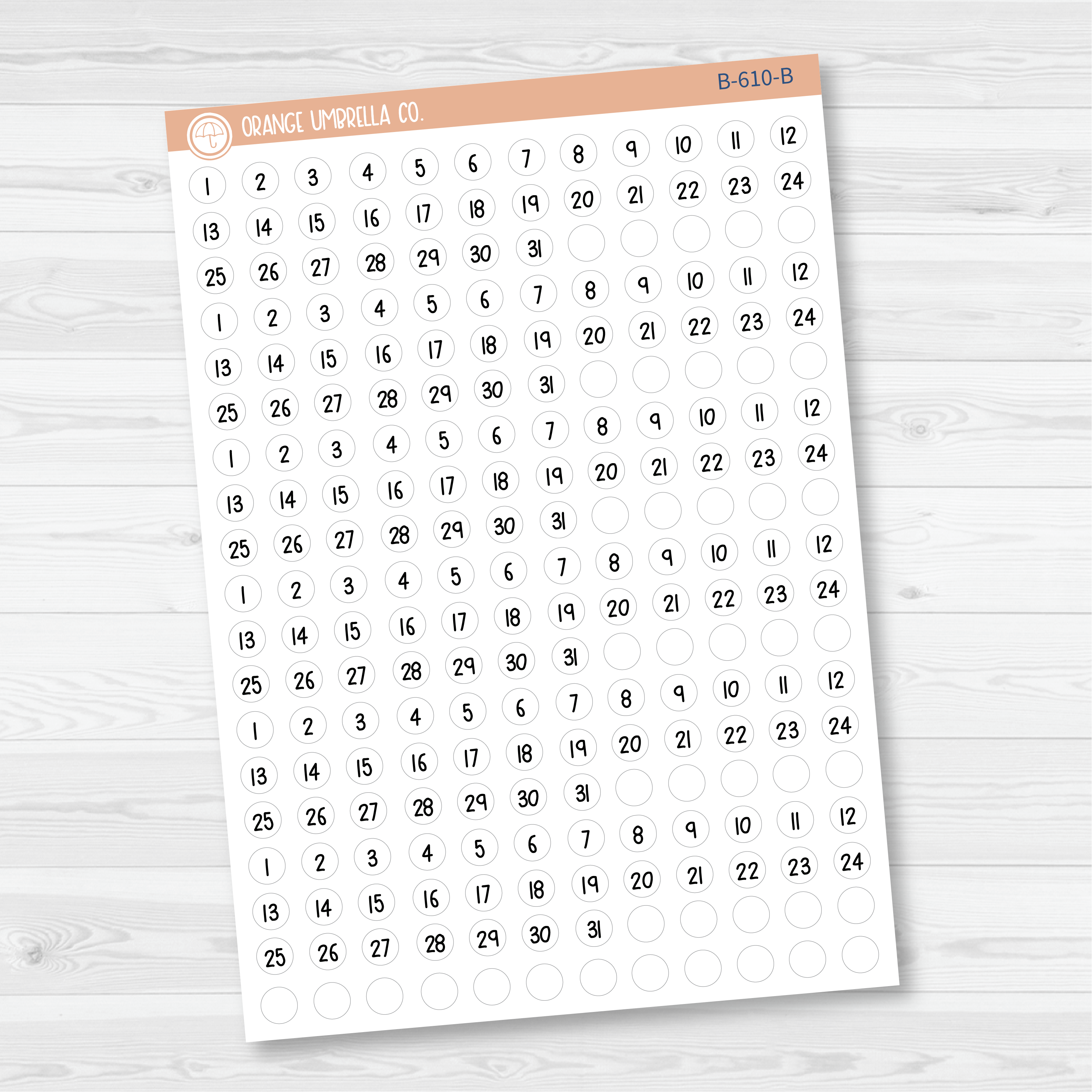 6 Months of Mini Date Dot Covers Planner Stickers | FSP | B-609-B-610