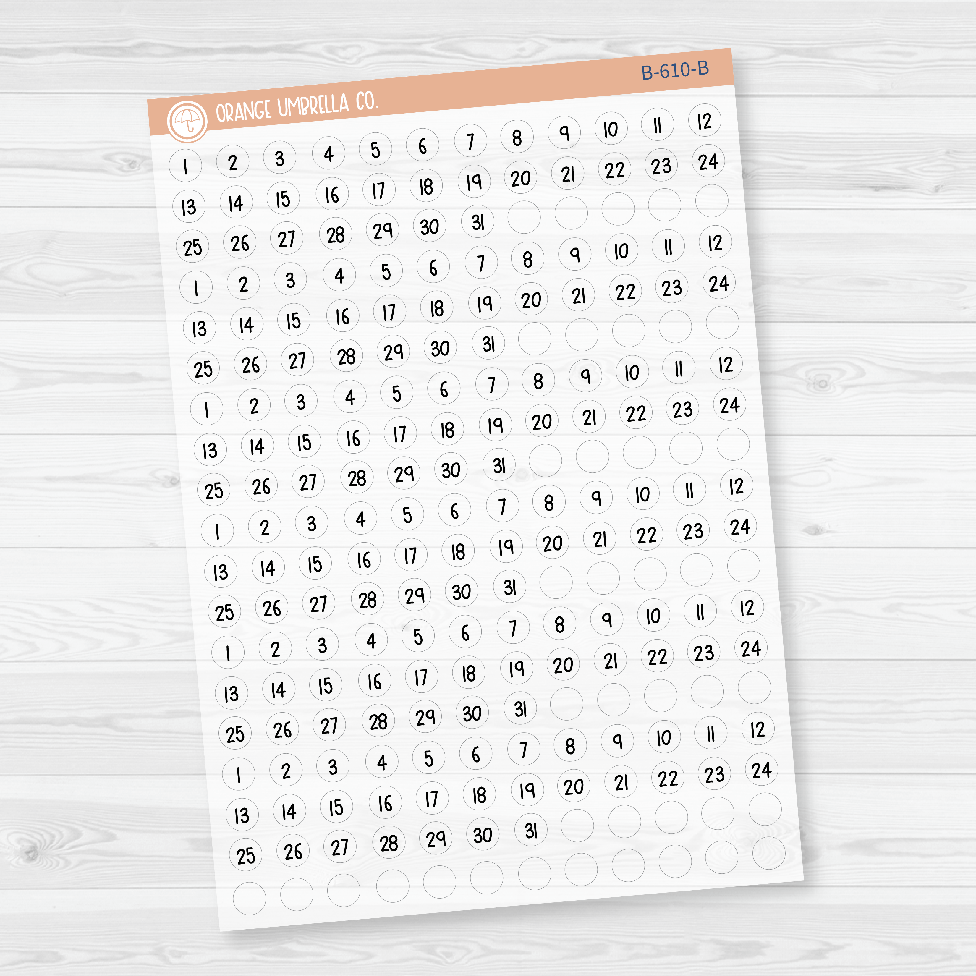 6 Months of Mini Date Dot Covers Planner Stickers | FSP | B-609-B-610
