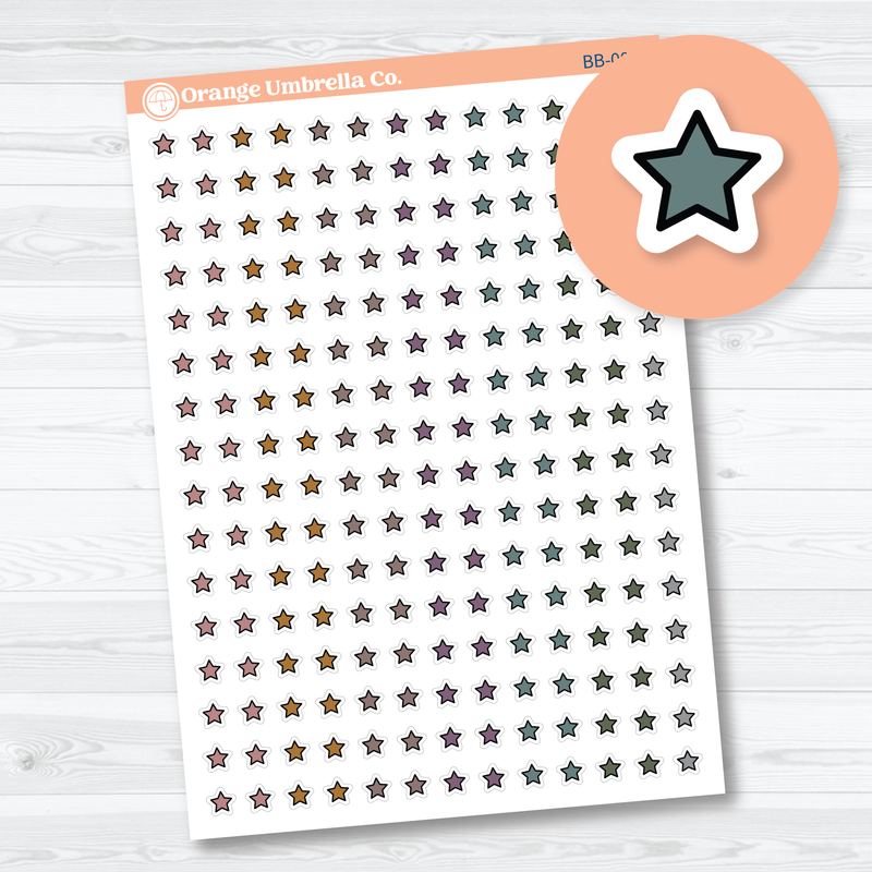 CLEARANCE | Bold Blooms Erin Condren Palette | Tiny Star Planner Stickers from Kits | BB-004