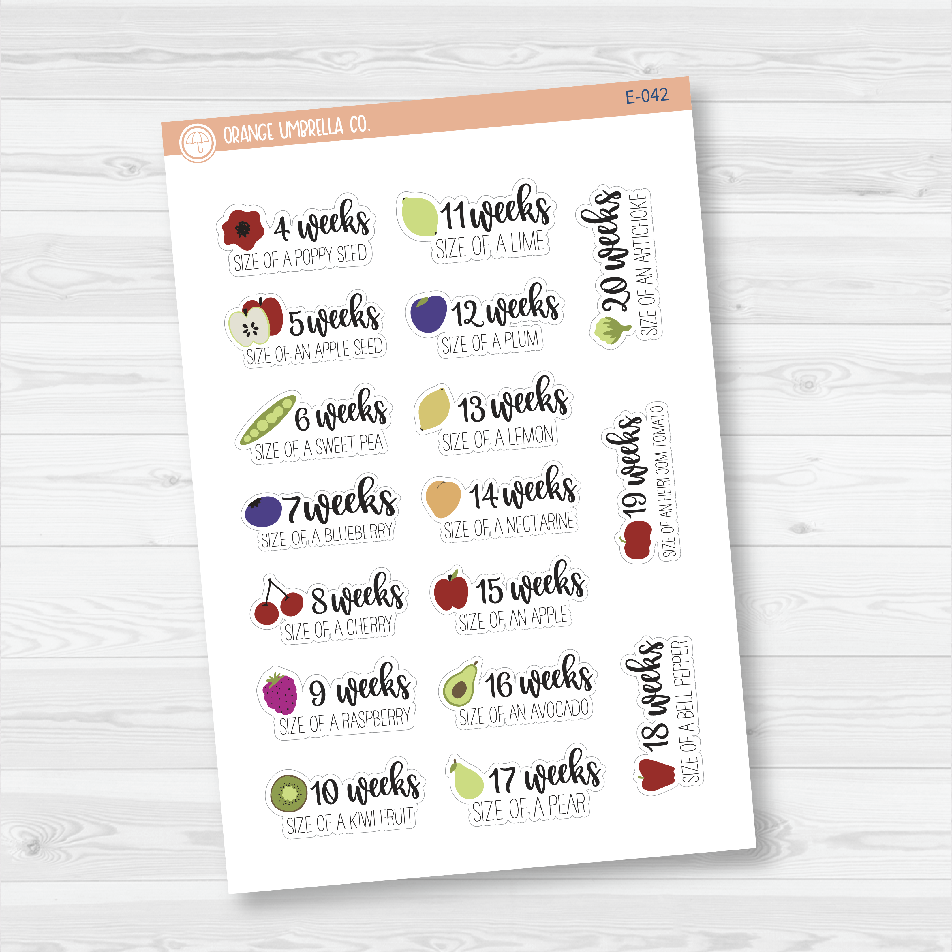 Week of Pregnancy / Baby Growth / Baby Is Size Of... Icon Script Planner Stickers | E-042 -E-043