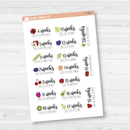 Week of Pregnancy / Baby Growth / Baby Is Size Of... Icon Script Planner Stickers | E-042 -E-043