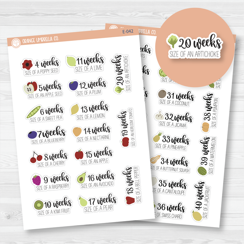 Week of Pregnancy / Baby Growth / Baby Is Size Of... Icon Script Planner Stickers | E-042 -E-043