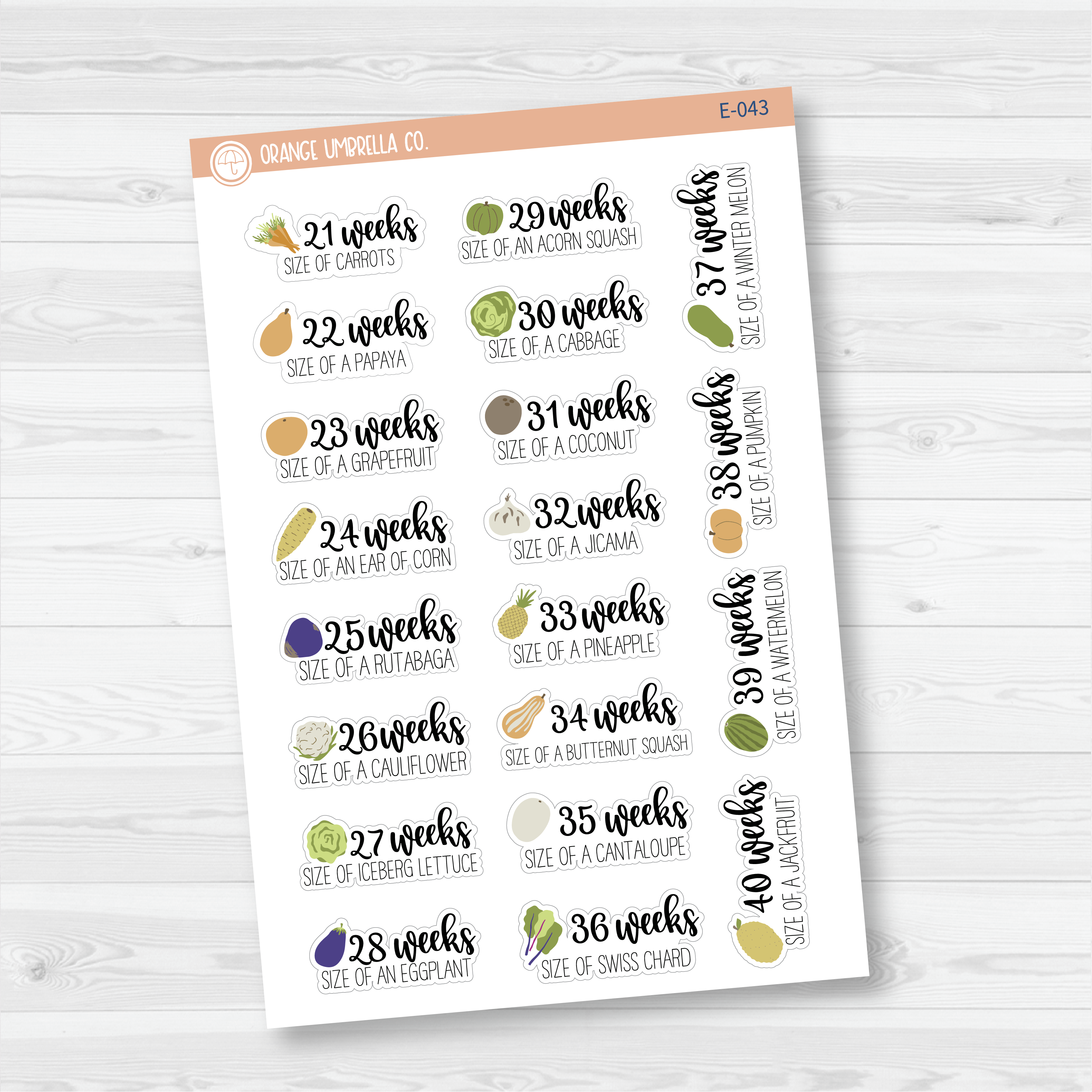 Week of Pregnancy / Baby Growth / Baby Is Size Of... Icon Script Planner Stickers | E-042 -E-043