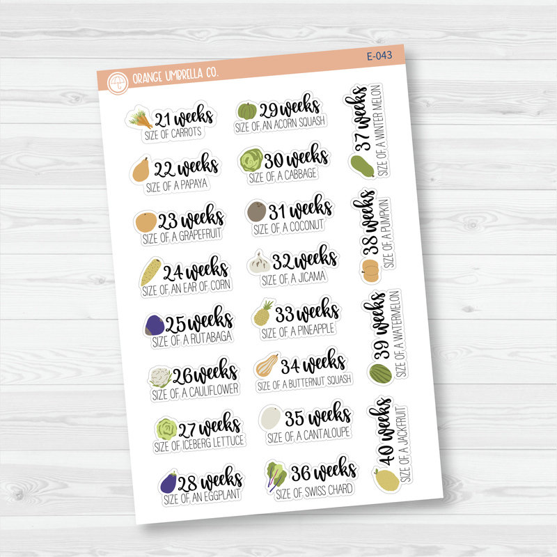 Week of Pregnancy / Baby Growth / Baby Is Size Of... Icon Script Planner Stickers | E-042 -E-043
