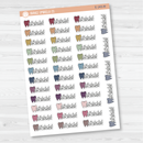 Orthodontist Appointment Icon Script Planner Stickers | FC11 | E-143