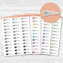 Budget Time Money Icon Script Planner Stickers | FC12 | E-189