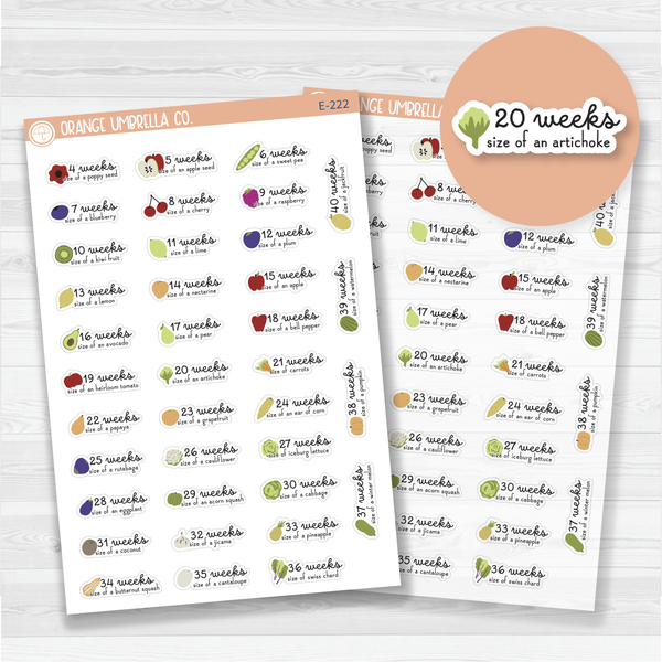 Pregnancy Weeks/Baby Is Size Of... Icon Script Planner Stickers | F16 | E-222