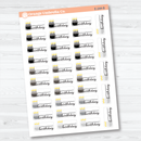 Birthday Fill-In Stickers | Cake Candle Event Labels for Planners | F16 | E-244