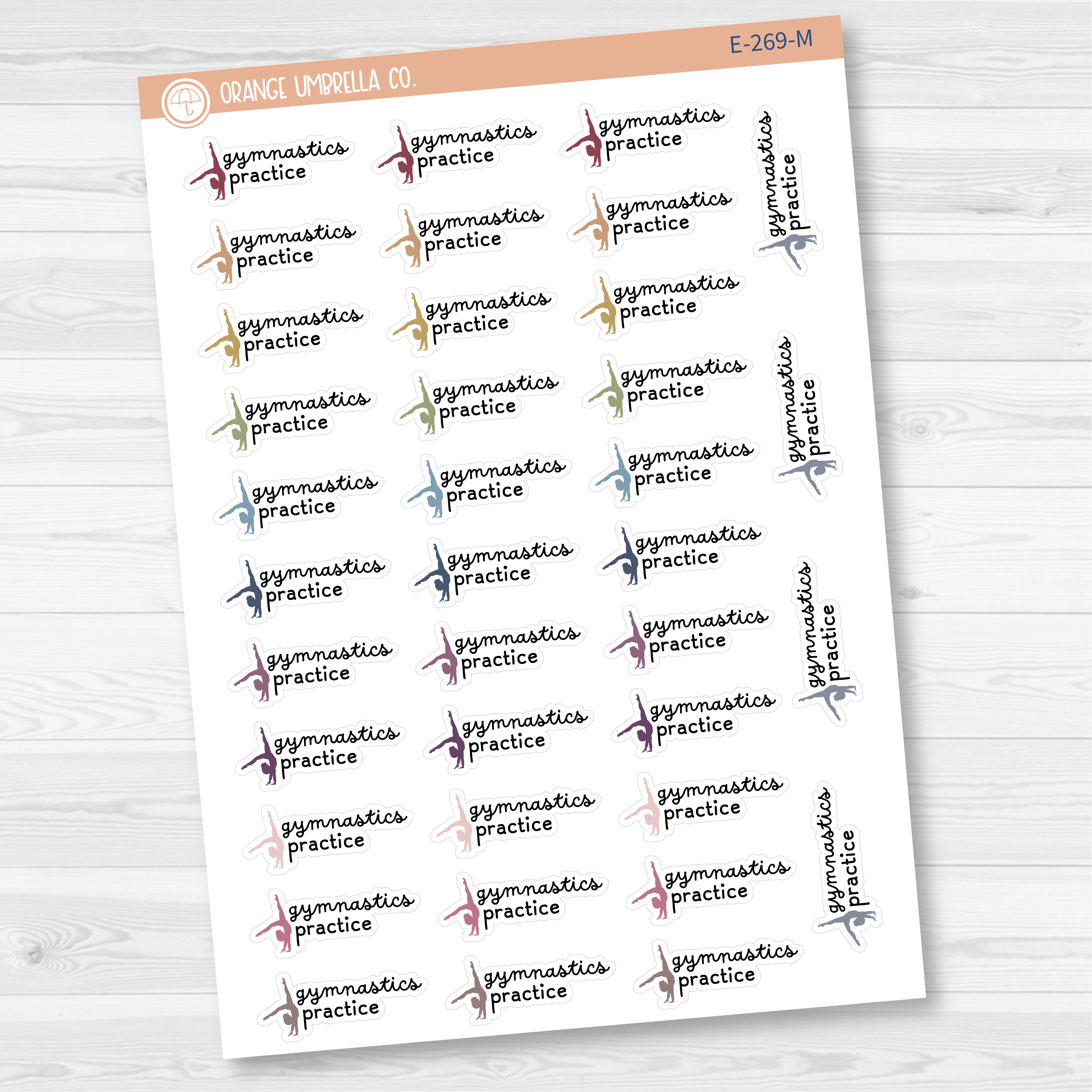 Gymnastics Practice Icon Event Script Planner Stickers | F16 | E-269