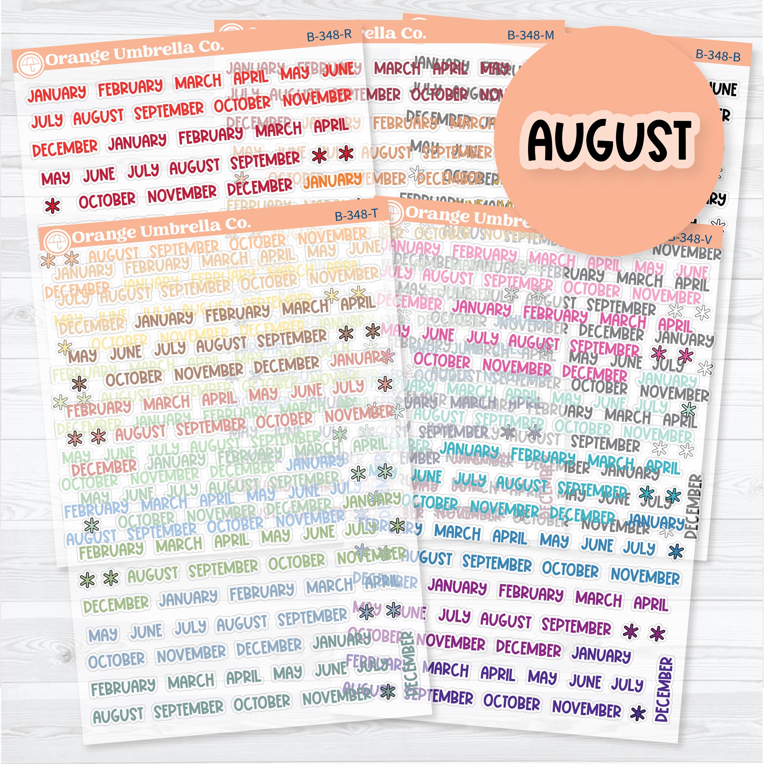 Funky Font Mini Months clear matte planner stickers featuring colorful hand-lettered month names for planners, journals, calendars, and monthly organization.
