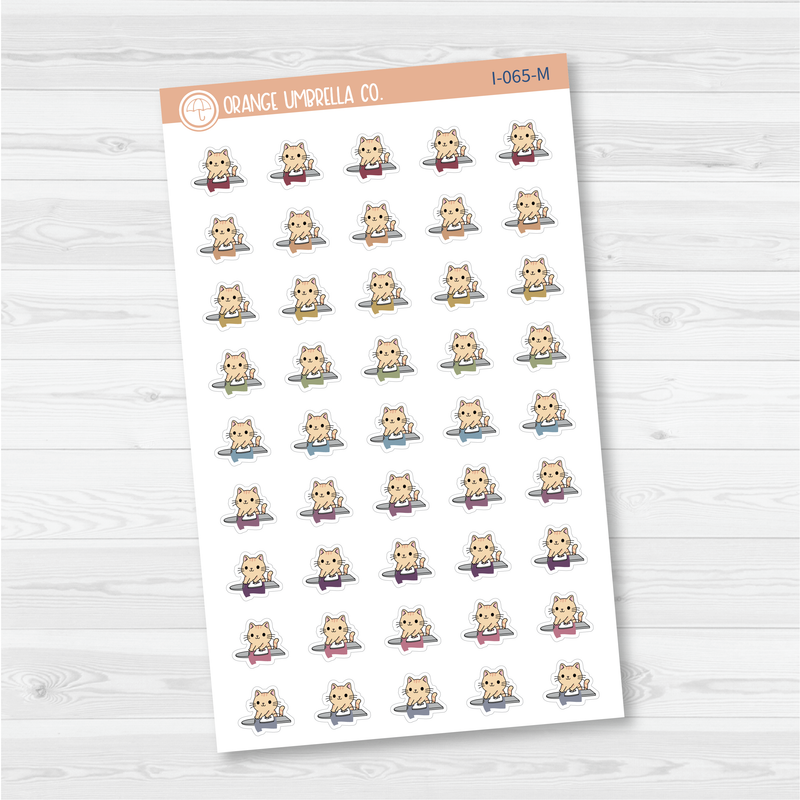 CLEARANCE | Spazz Ironing Icon Planner Stickers | I-065