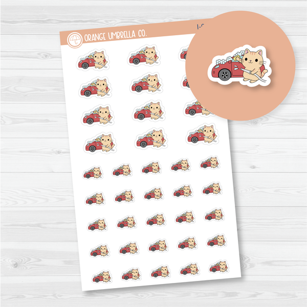Spazz Cat Wash the Car Icon Planner Stickers | I-066